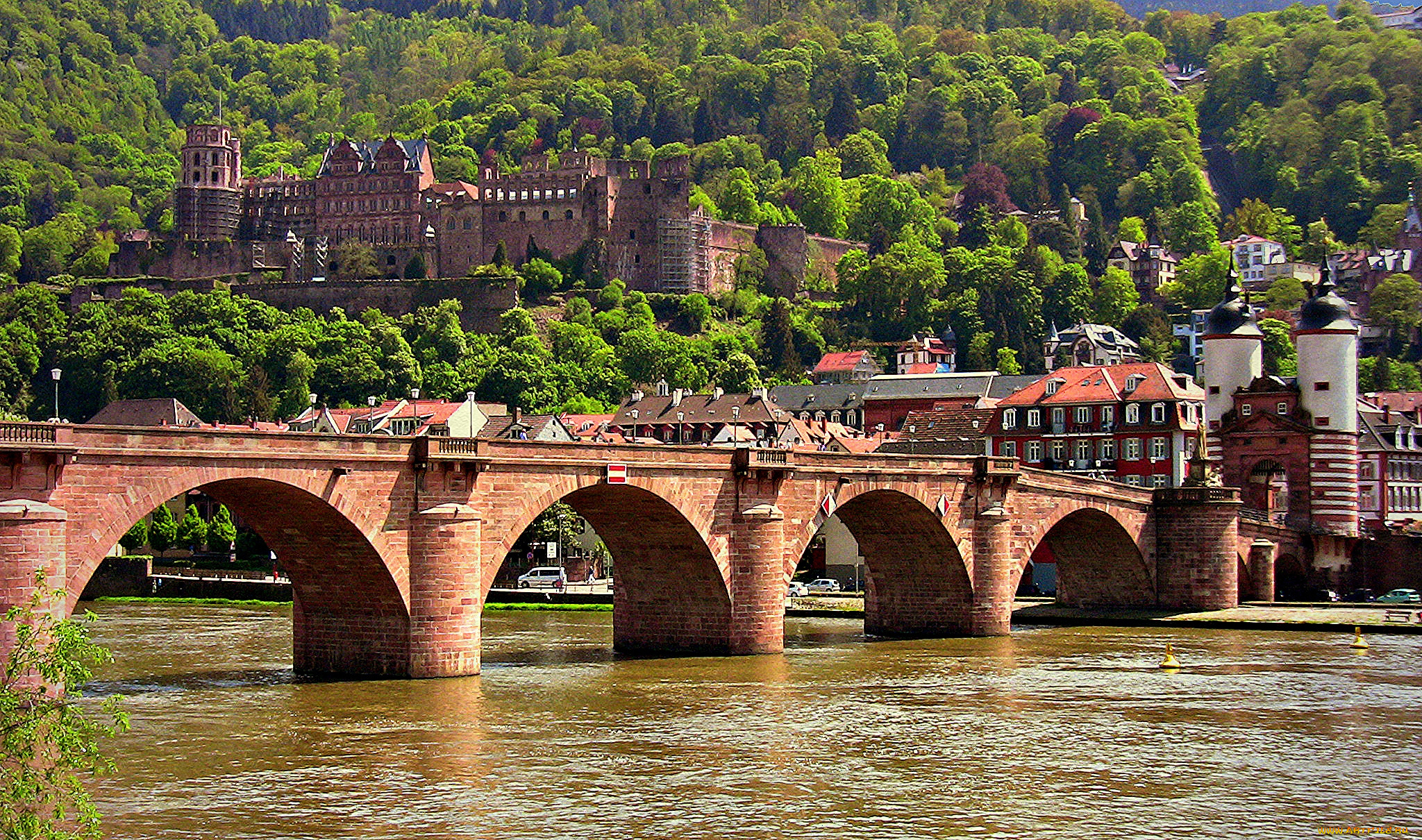 germany, , heidelberg, города, -, мосты, мост, река