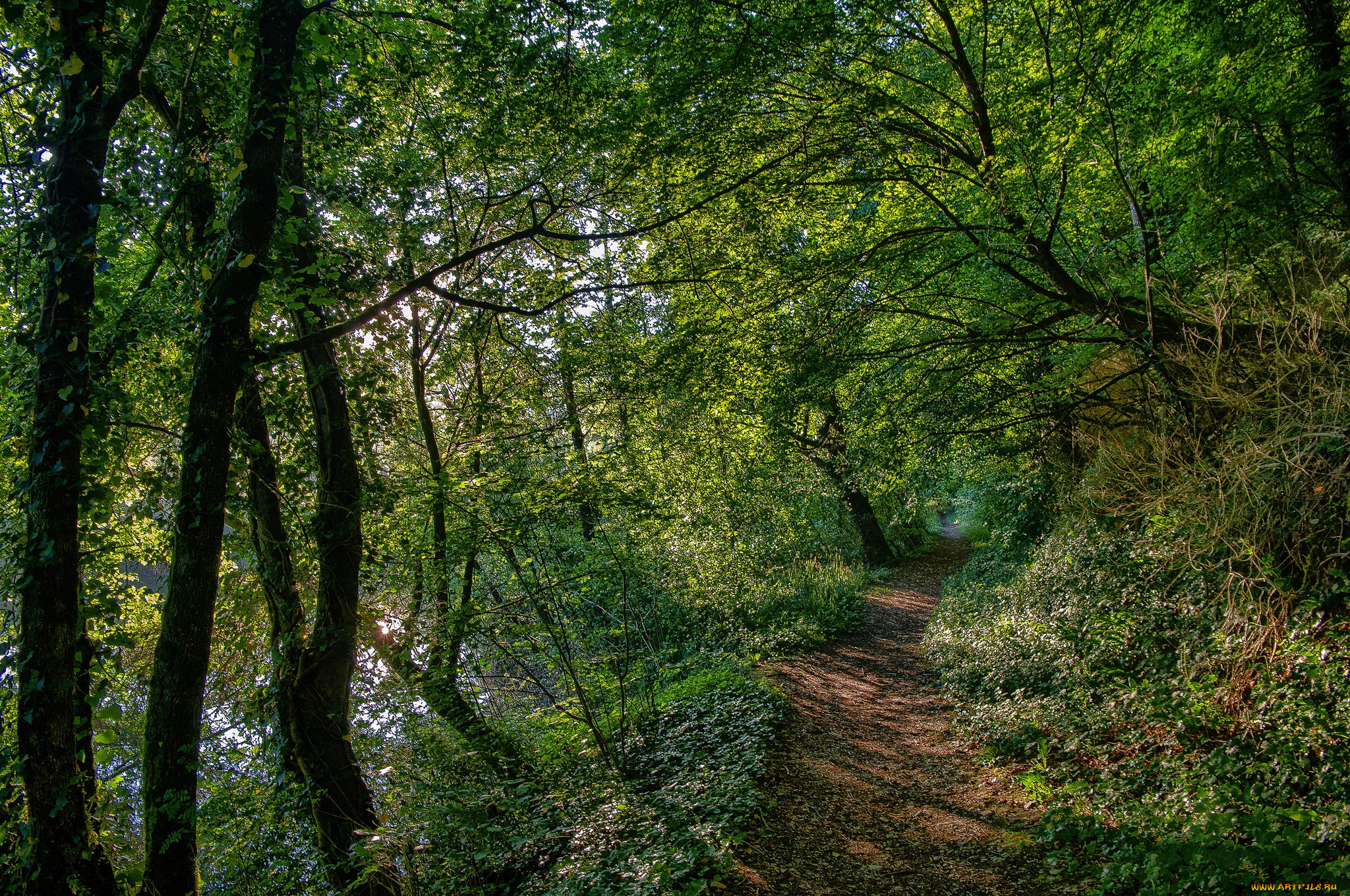 природа, дороги, простор