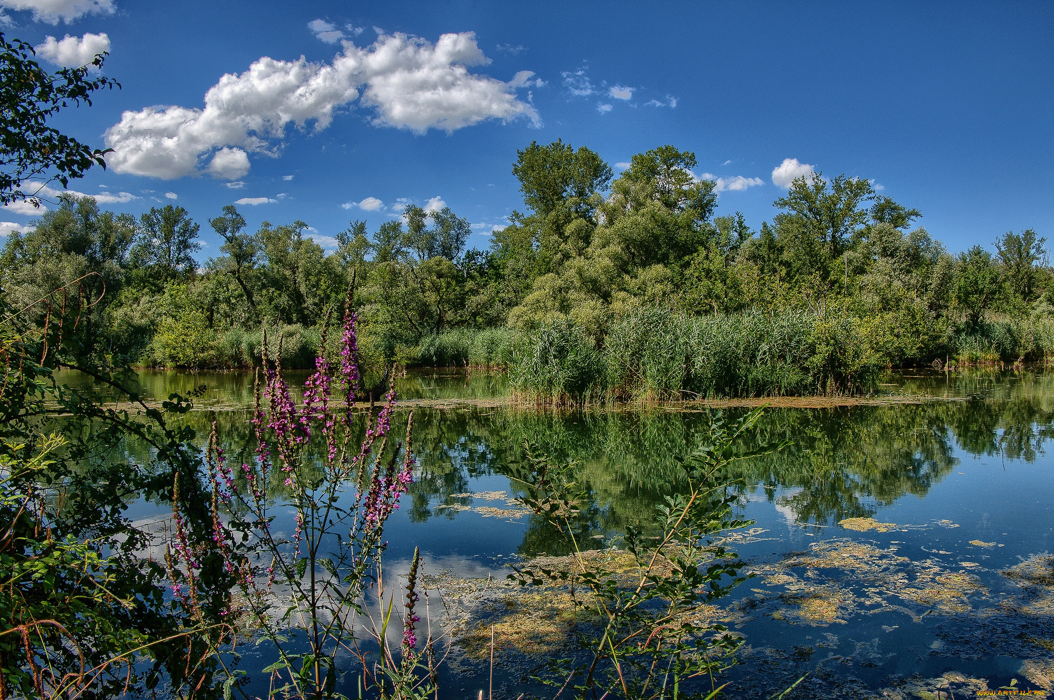 природа, реки, озера, простор
