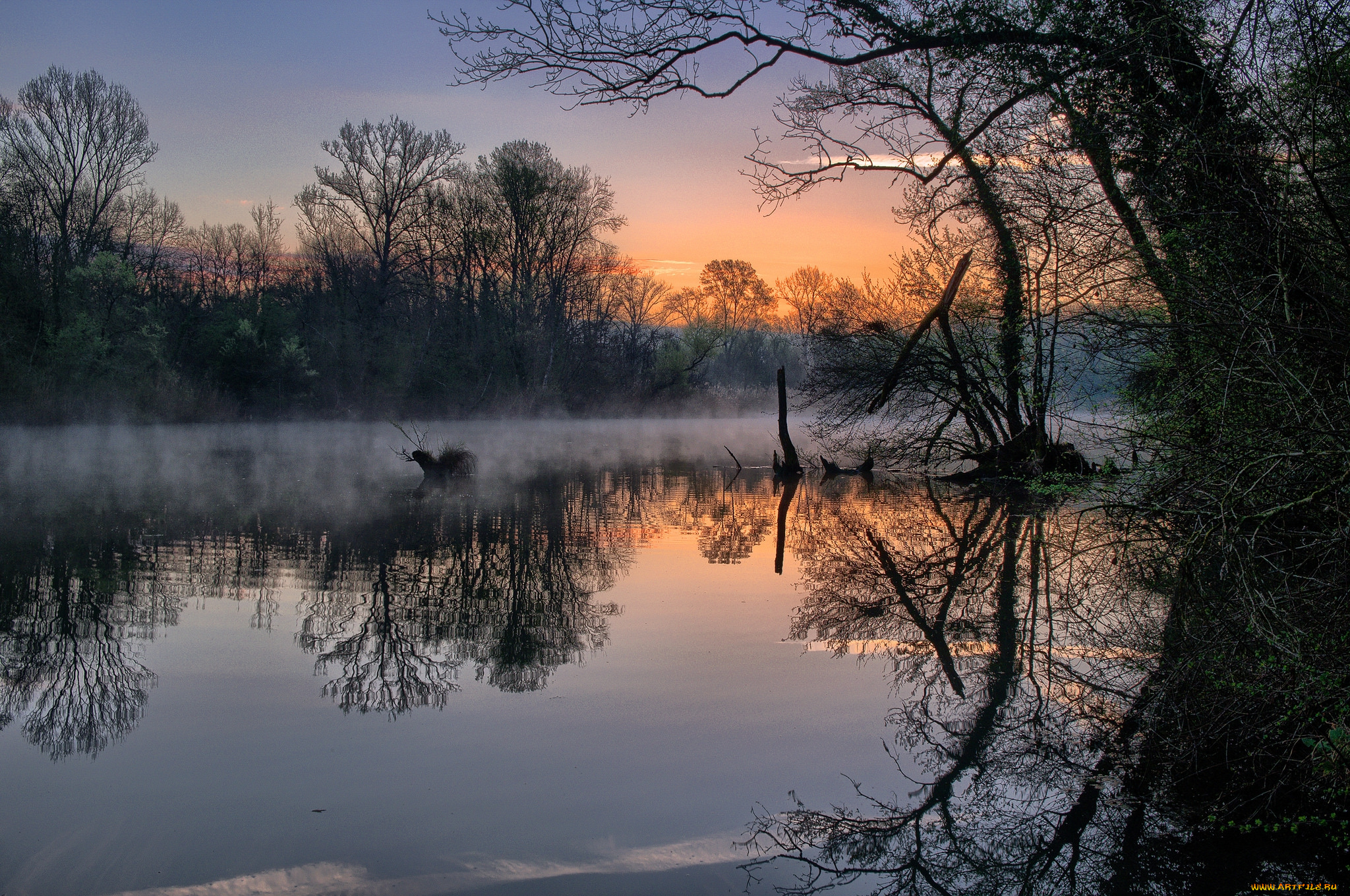 природа, реки, озера, простор
