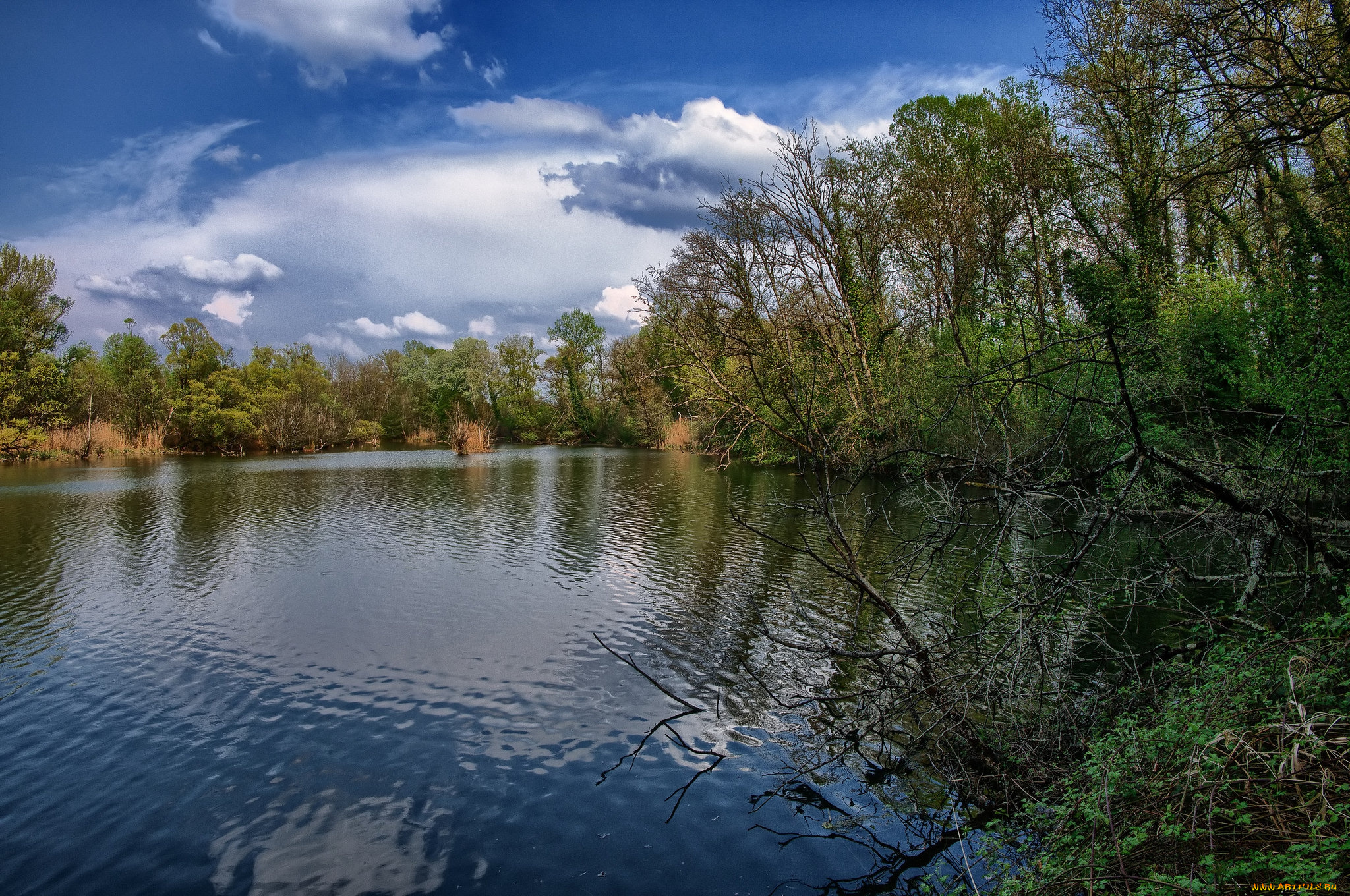 природа, реки, озера, простор