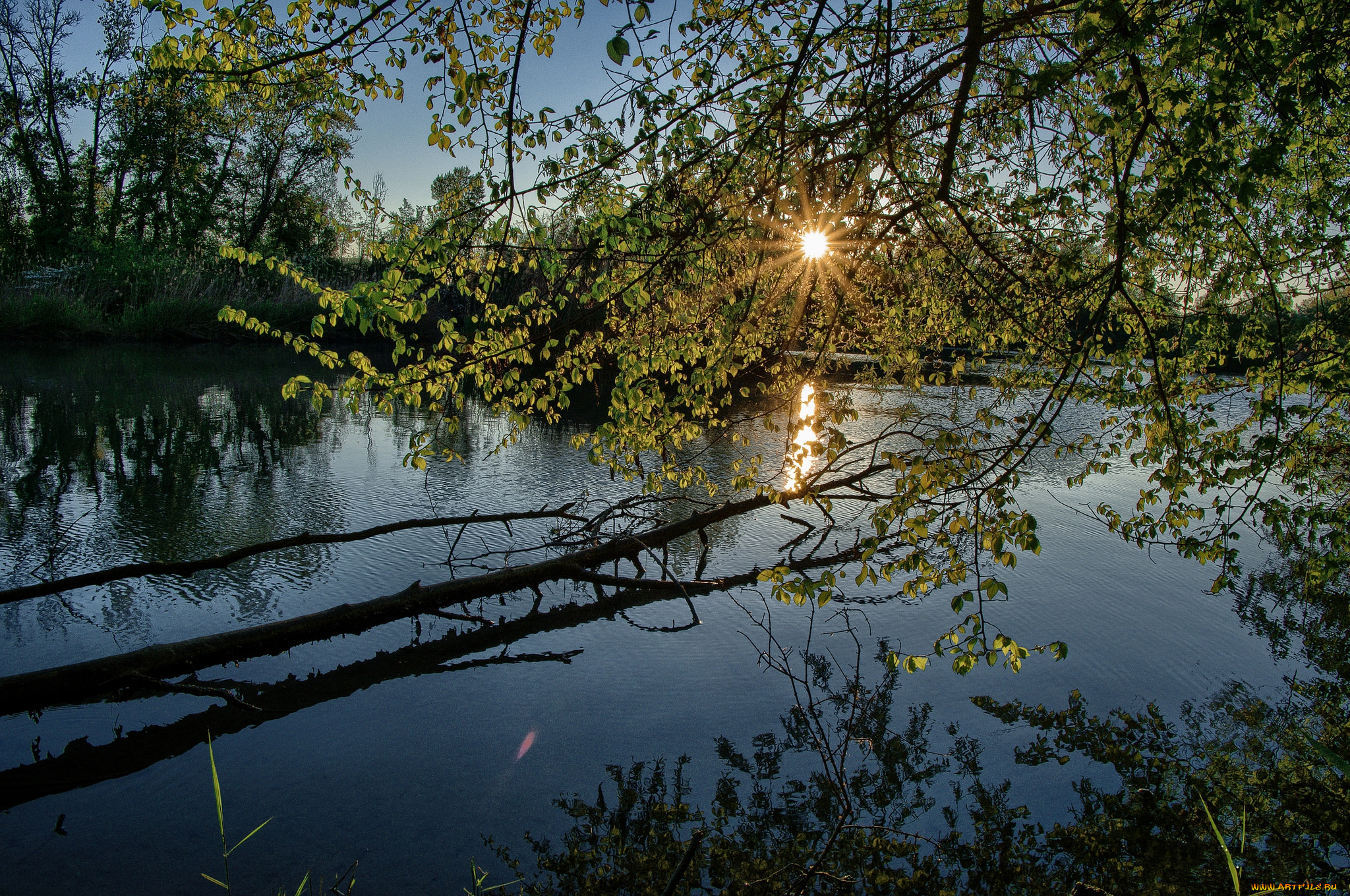 природа, реки, озера, простор