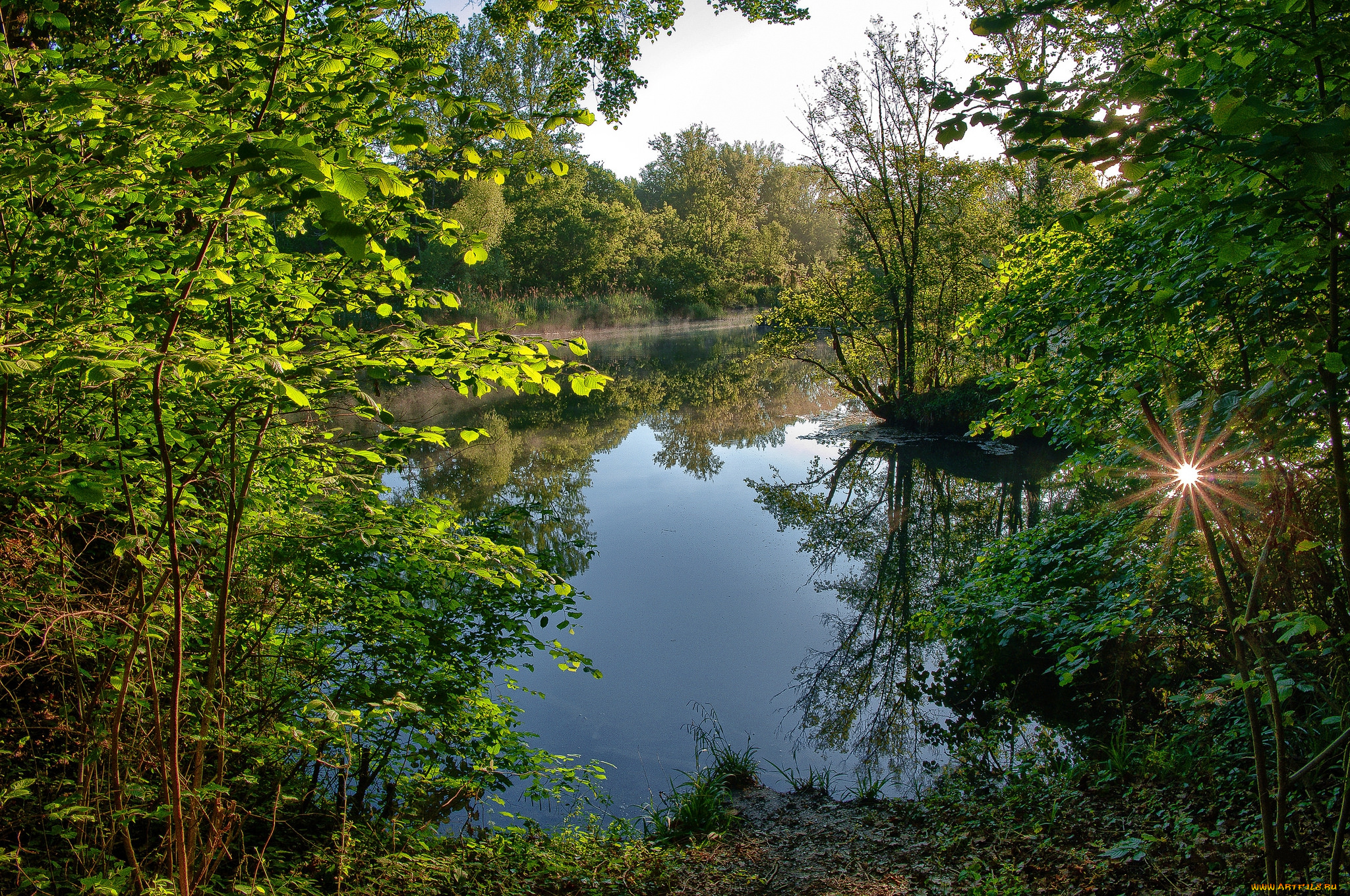 природа, реки, озера, река, лес