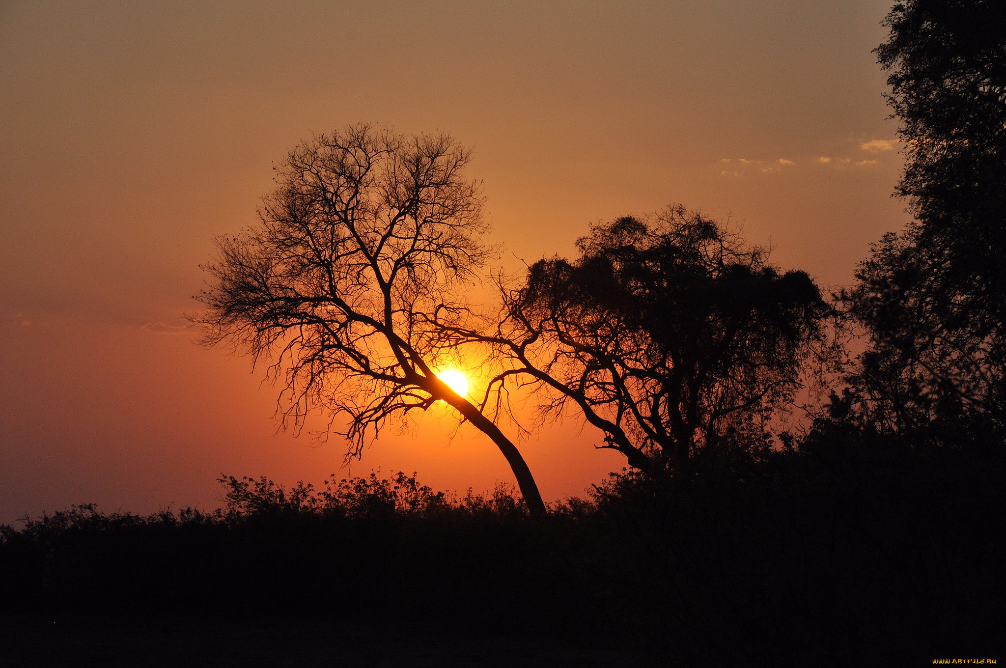 природа, восходы, закаты, простор