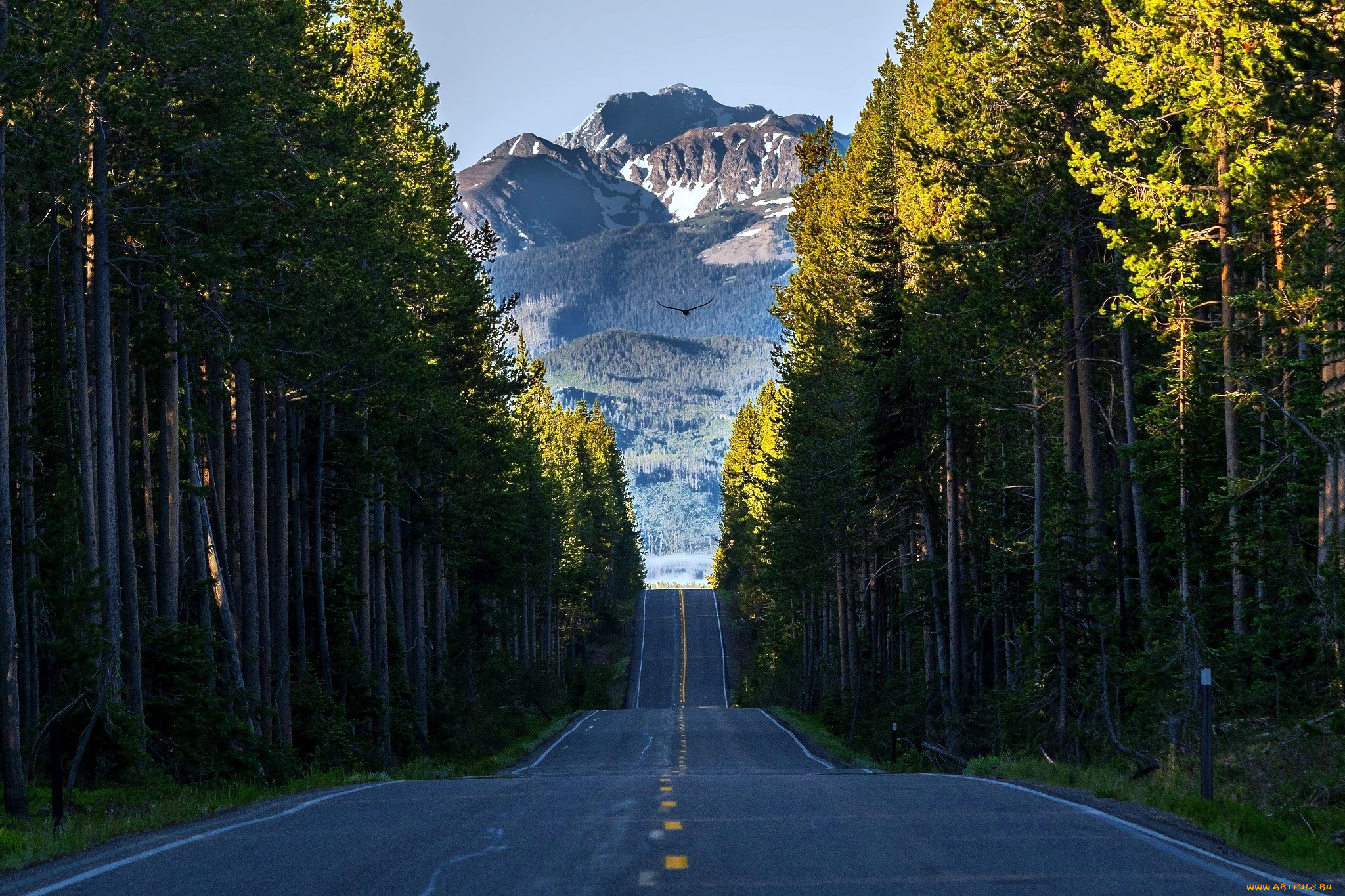 природа, дороги, шоссе, лес, горы