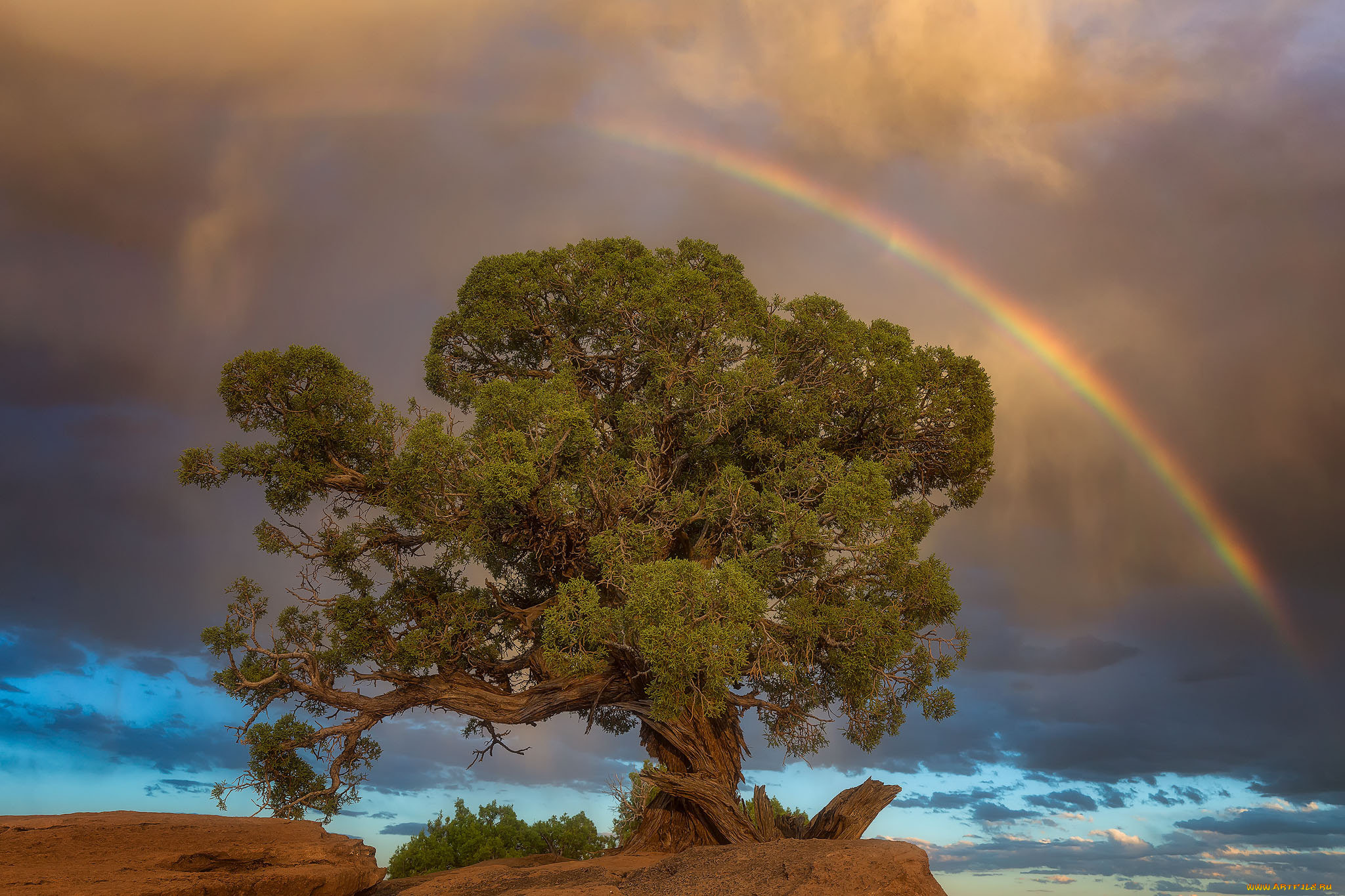 природа, радуга