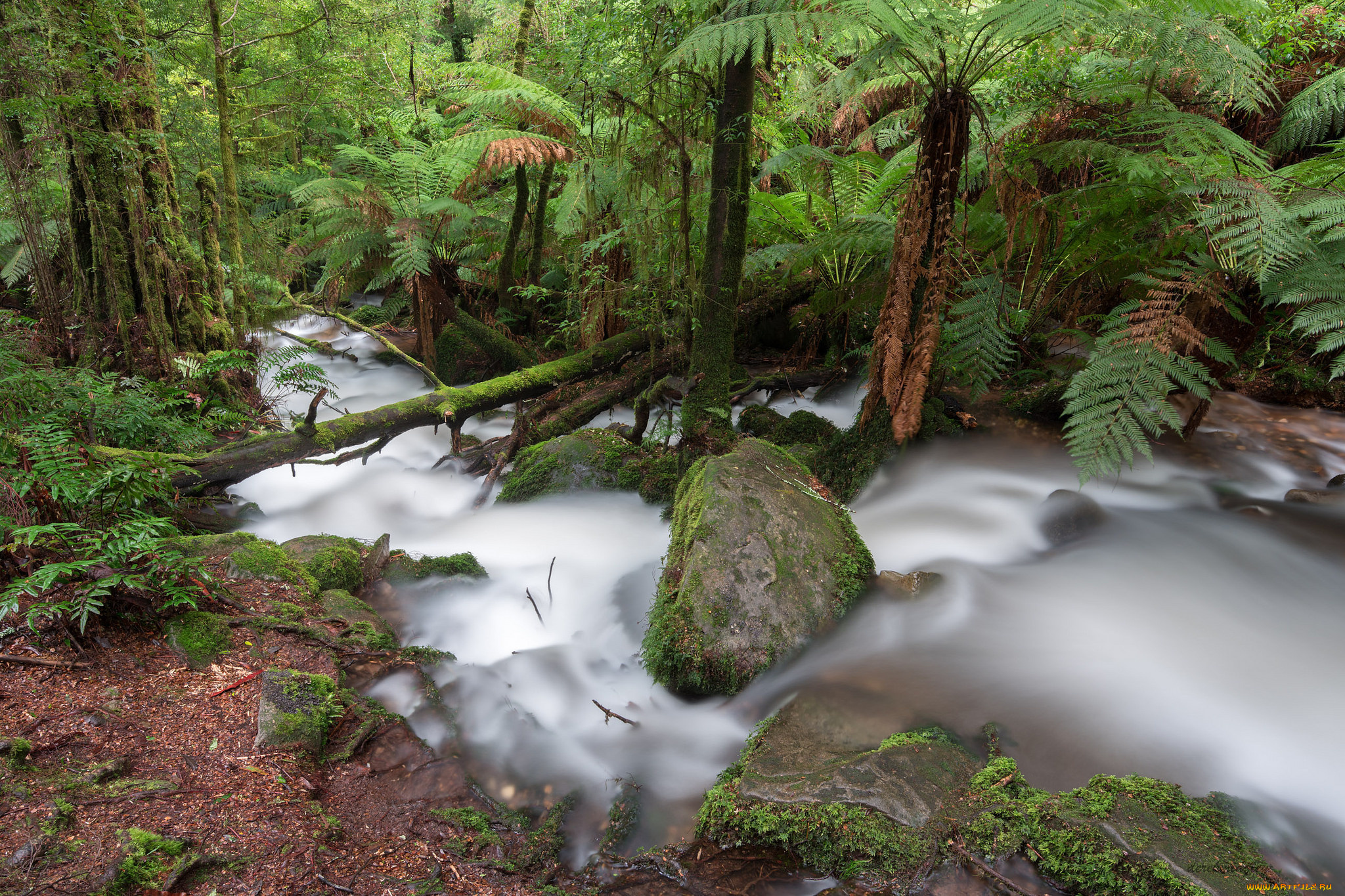 природа, реки, озера, поток