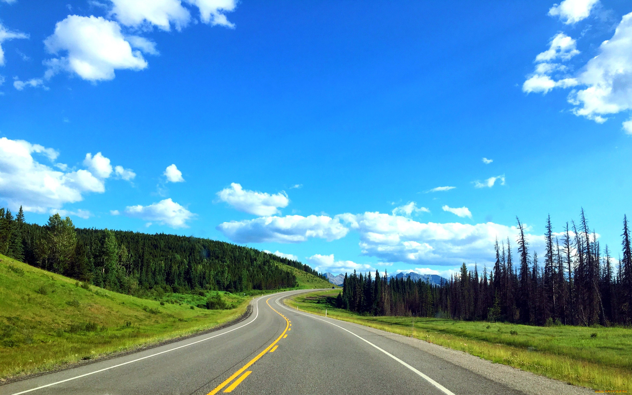 природа, дороги, шоссе