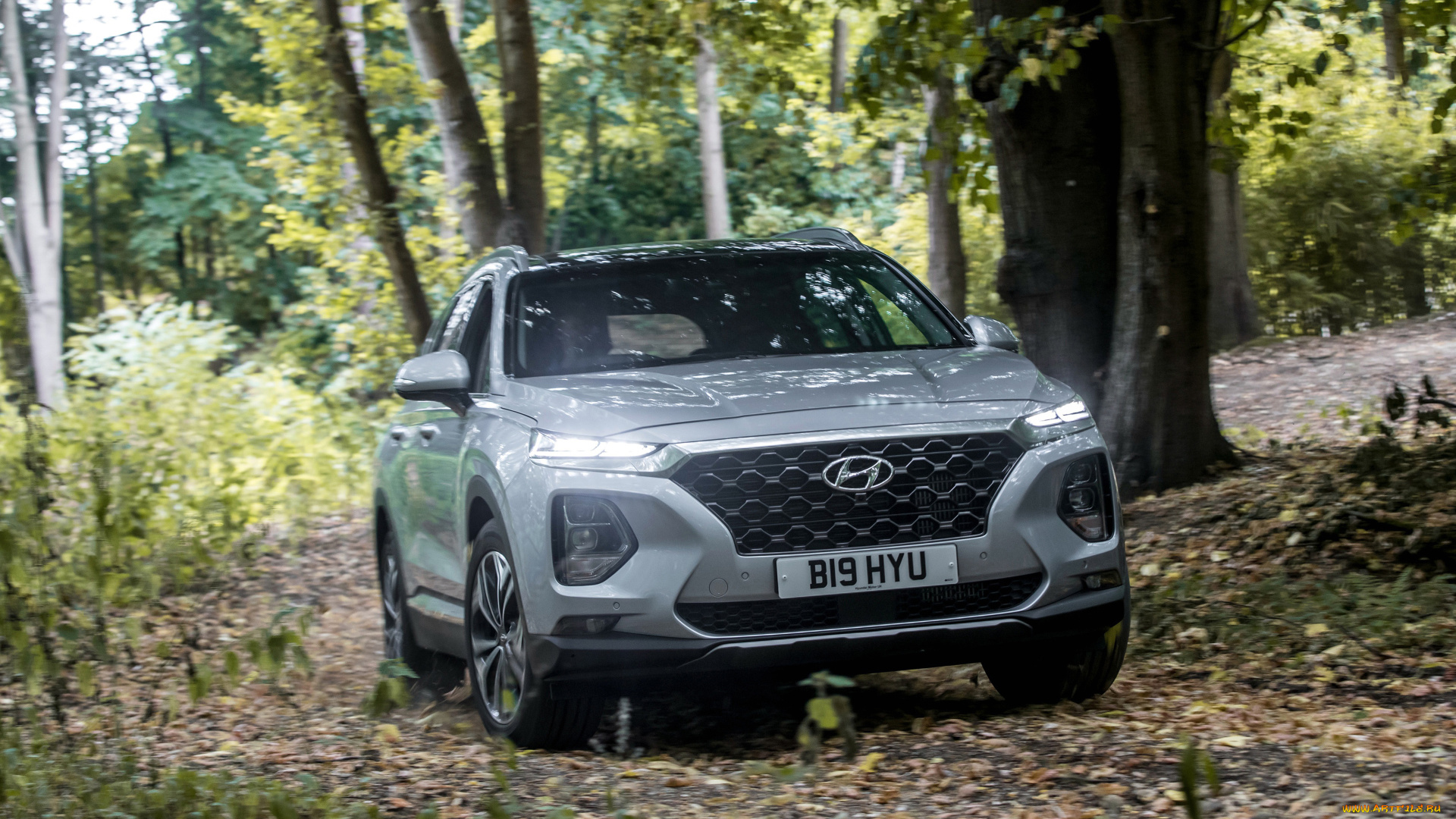 2019, hyundai, santa, fe, , uk, автомобили, hyundai, кроссовер, crossover, uk, santa, fe, 2019, корейские, лес, вид, спереди, белый