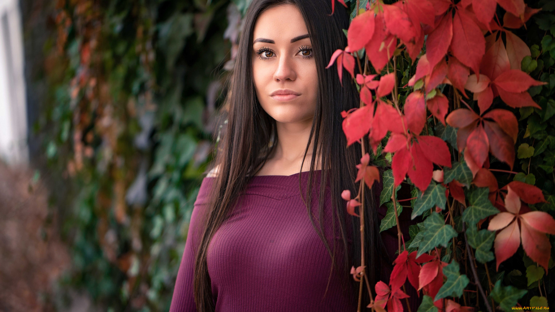 девушка, девушки, -unsort, , брюнетки, темноволосые, модель