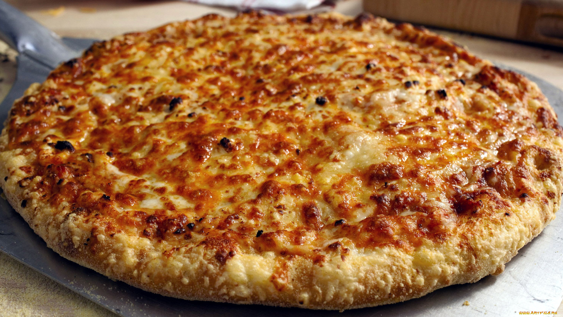 еда, пицца, сыр