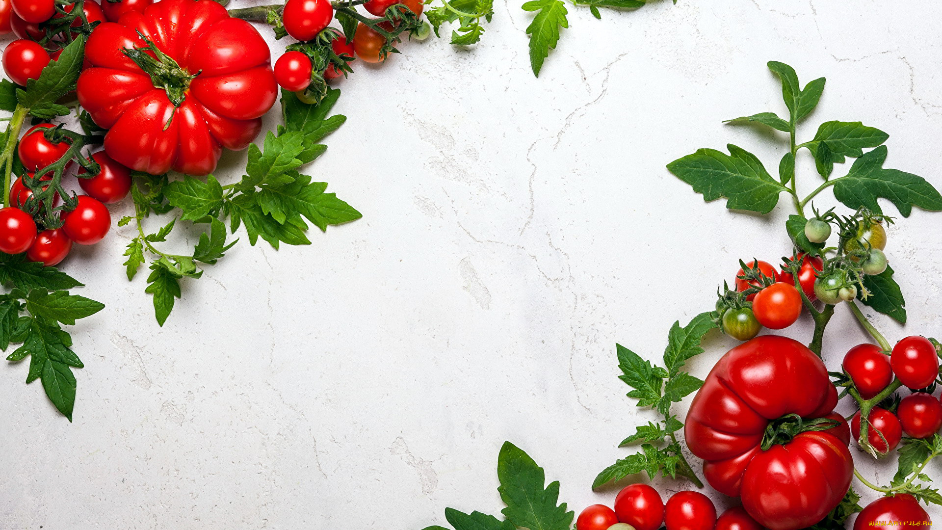 еда, помидоры, черри