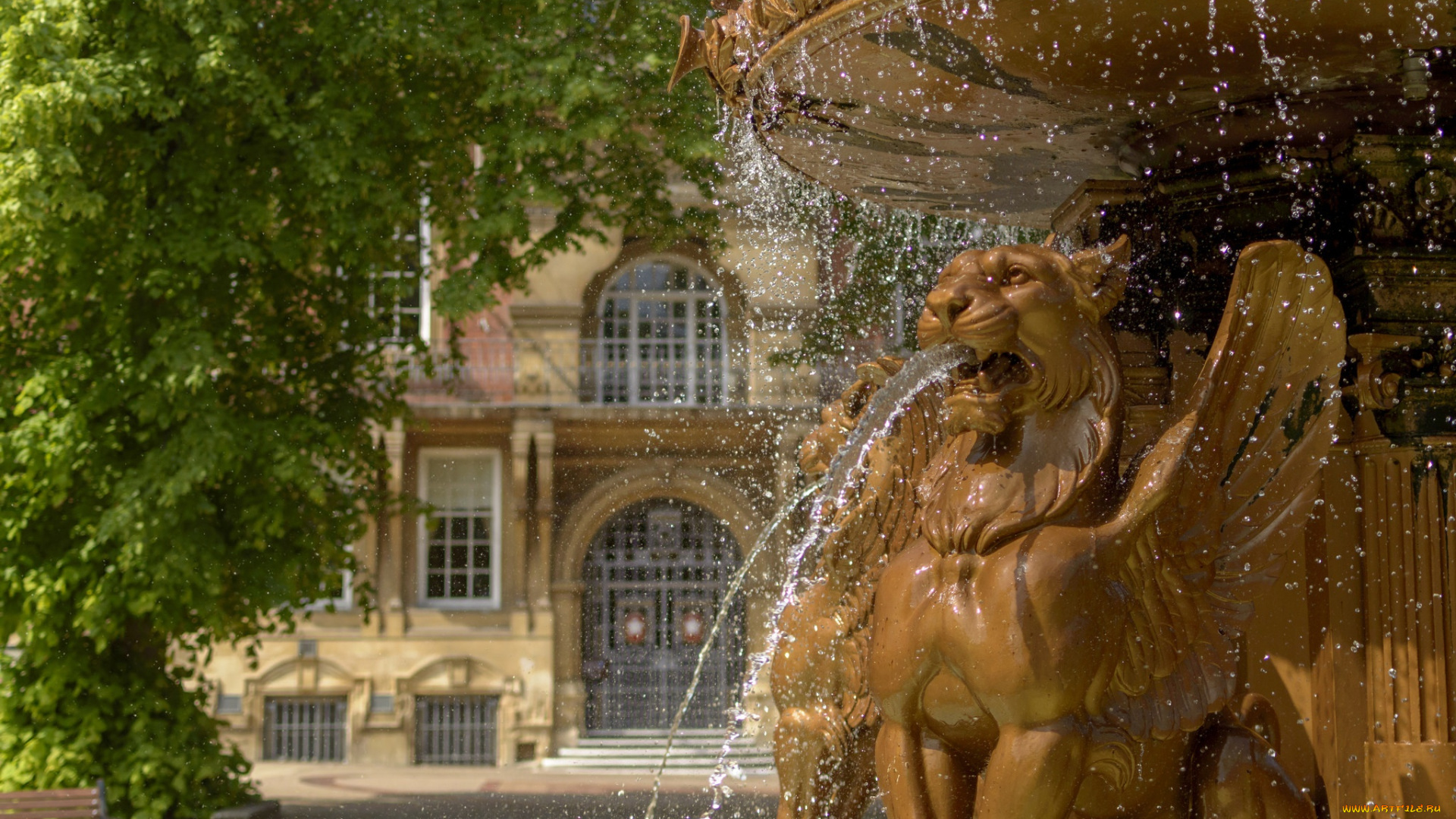 города, -, фонтаны, leicester, town, hall, лестер, england, ратуша, фонтан, англия, дерево