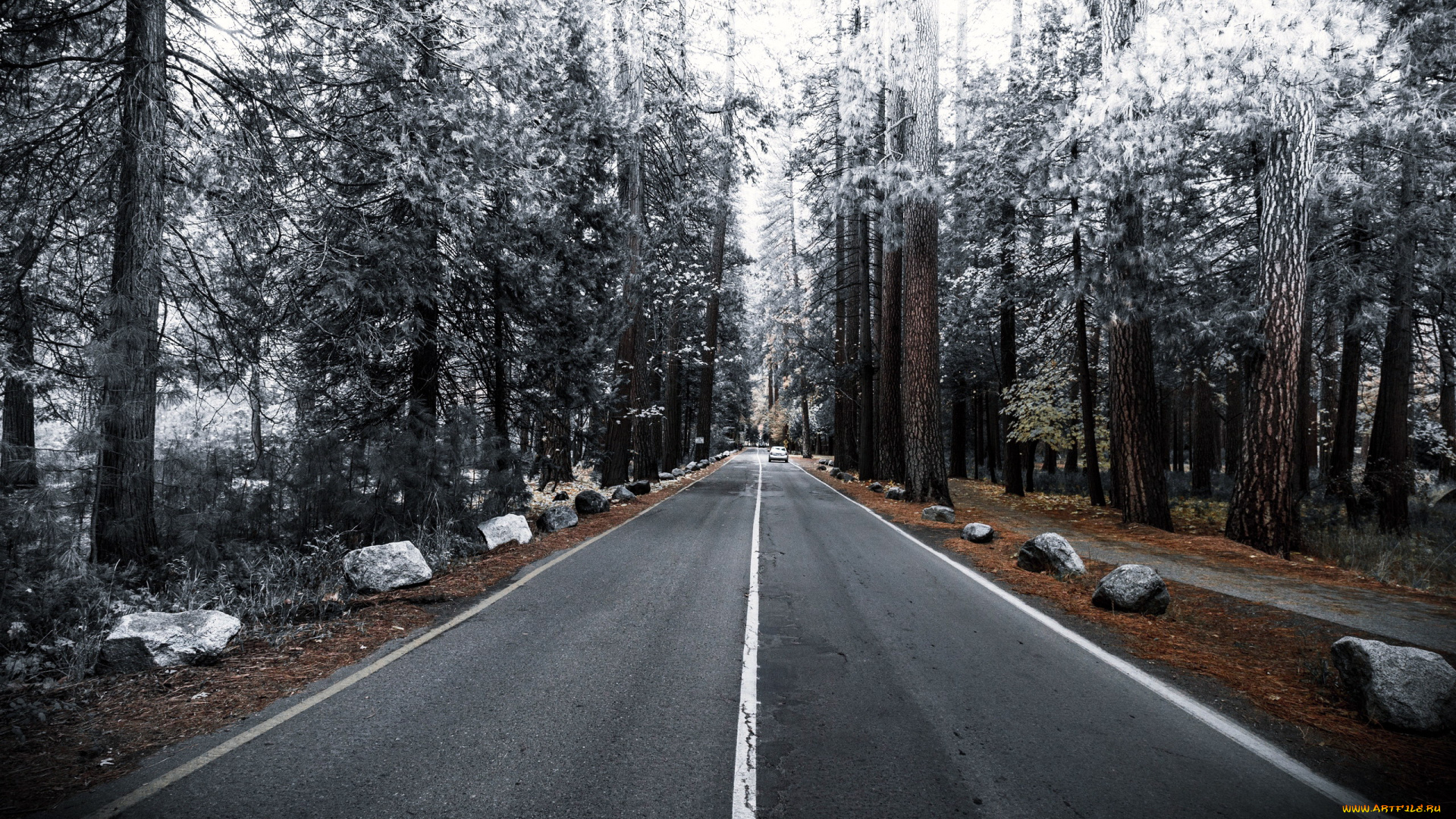 природа, дороги, шоссе