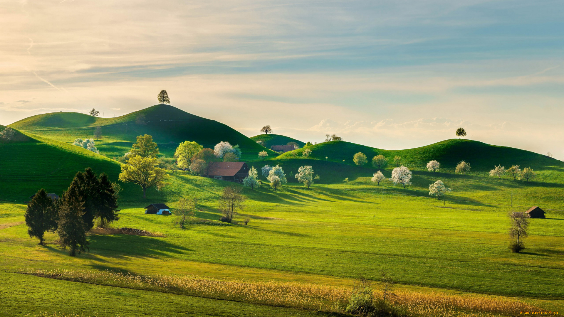 природа, пейзажи, холмы, луга