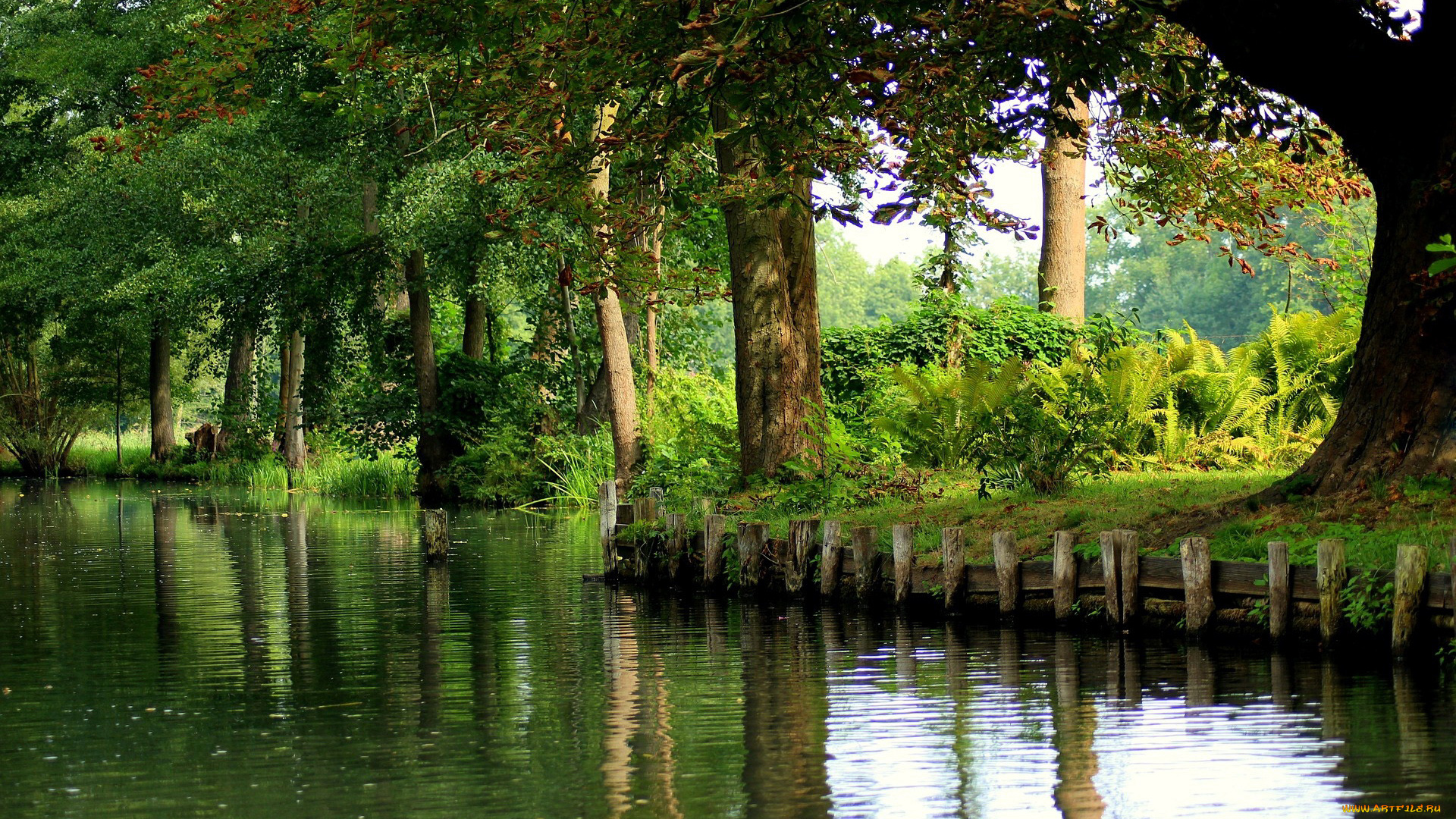 природа, реки, озера, деревья, вода, река