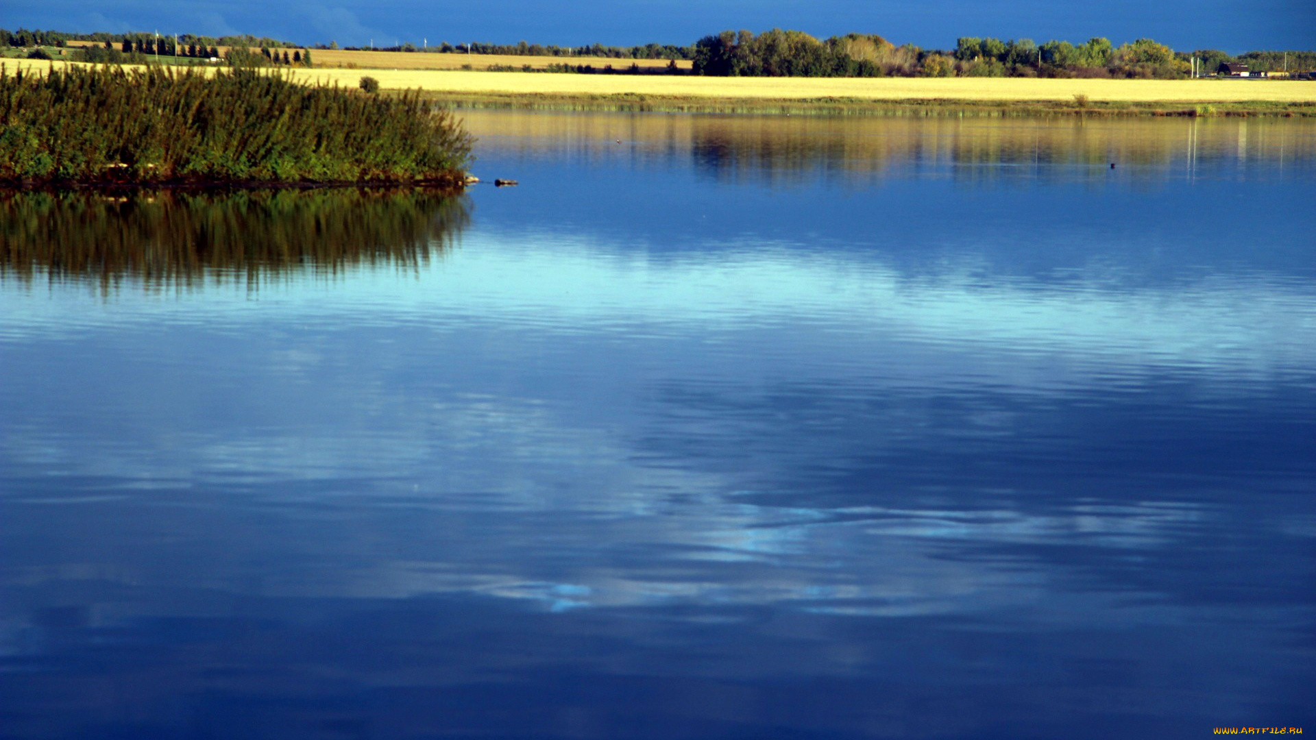 природа, реки, озера, река, простор