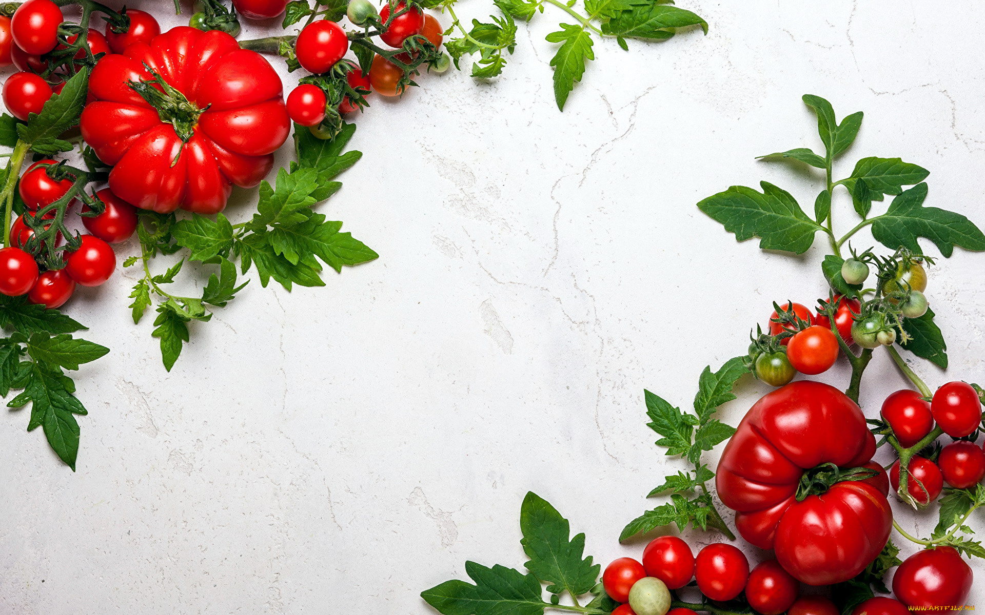 еда, помидоры, черри