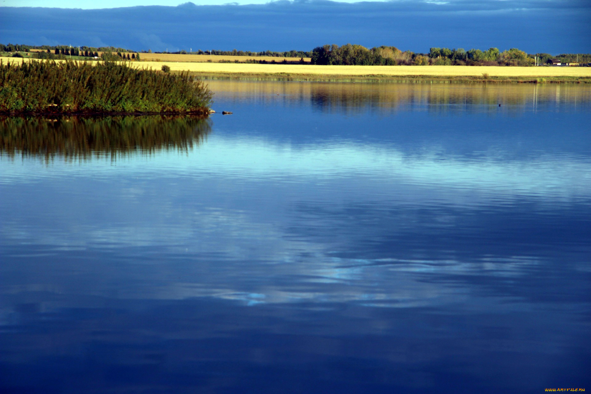 природа, реки, озера, река, простор