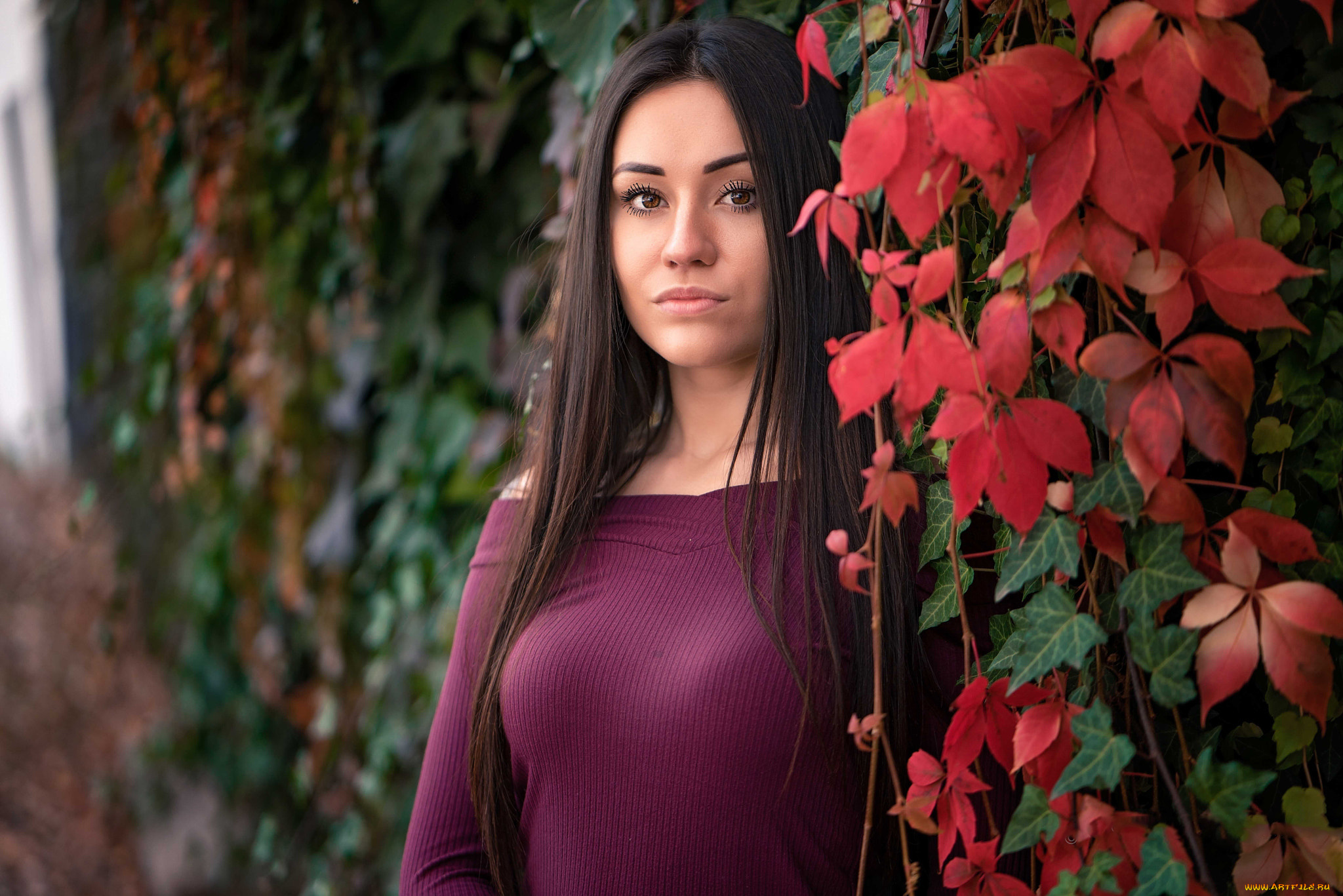 девушка, девушки, -unsort, , брюнетки, темноволосые, модель