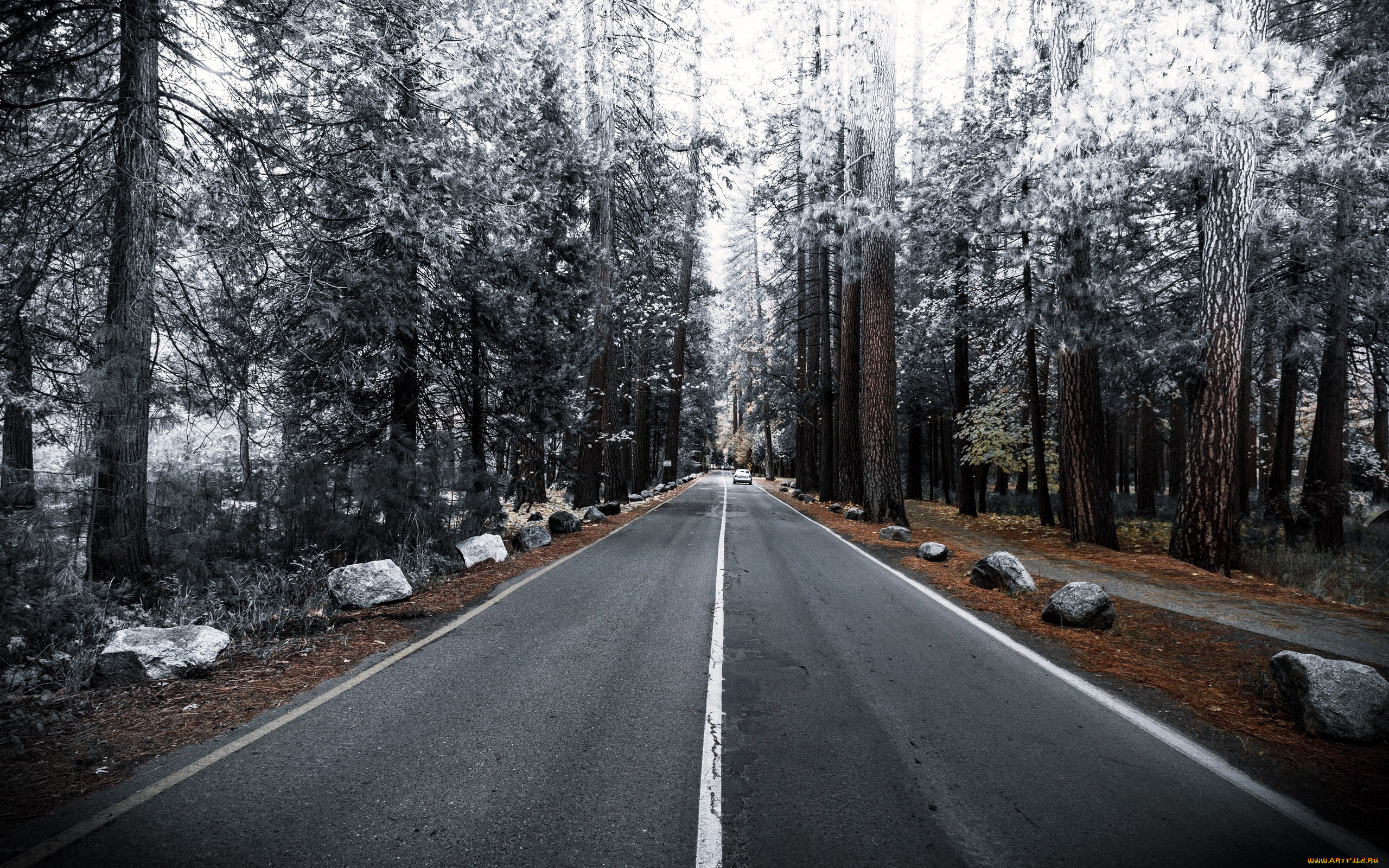 природа, дороги, шоссе