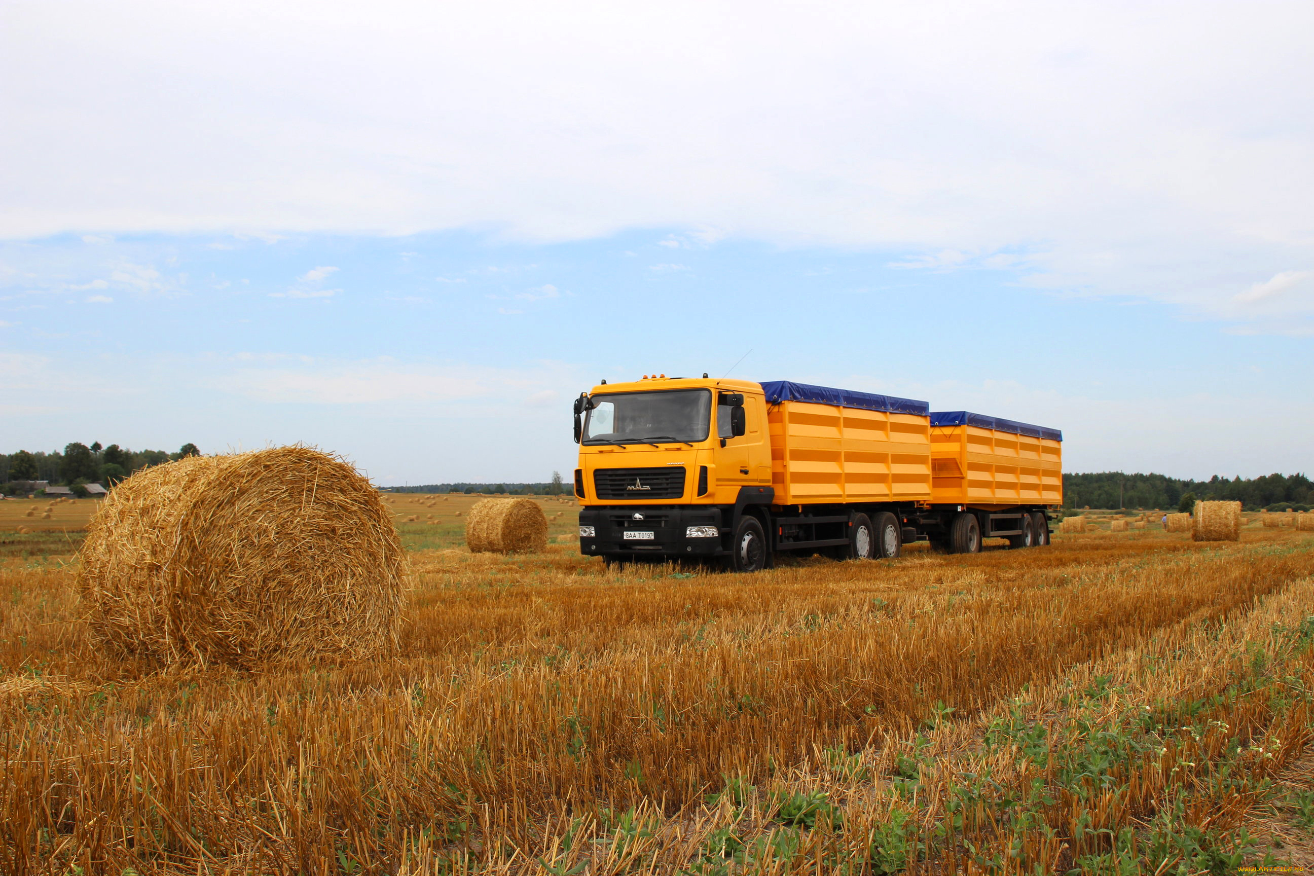 автомобили, маз, maz