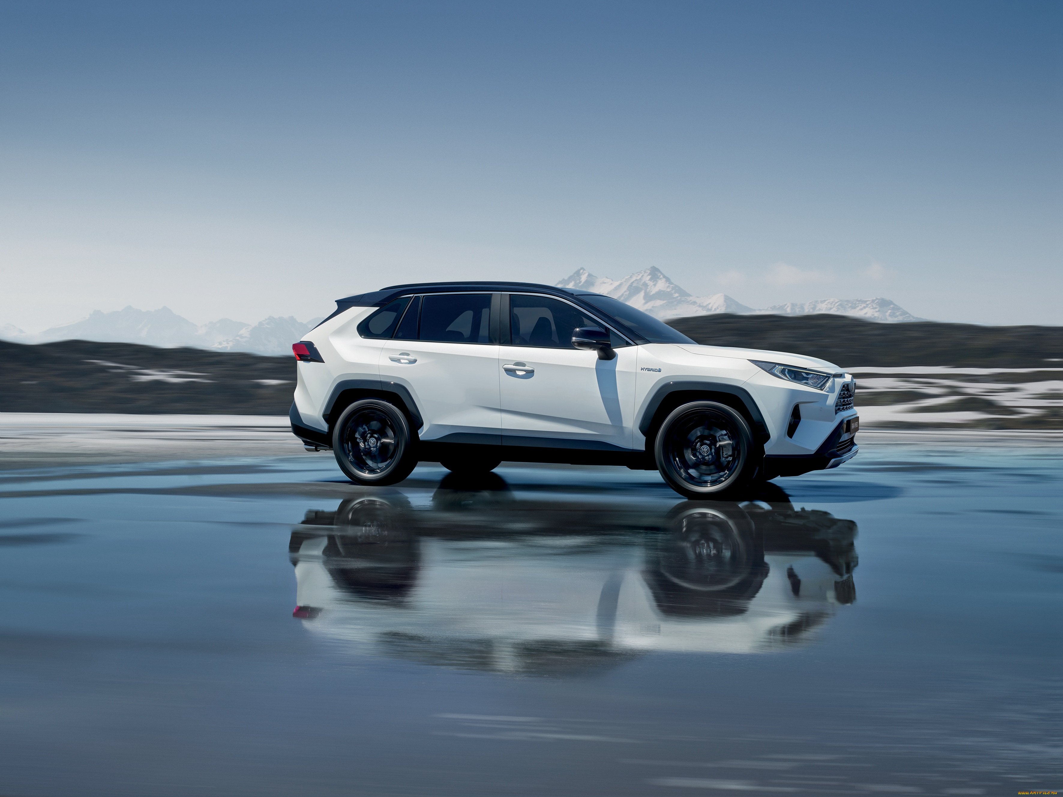 автомобили, toyota