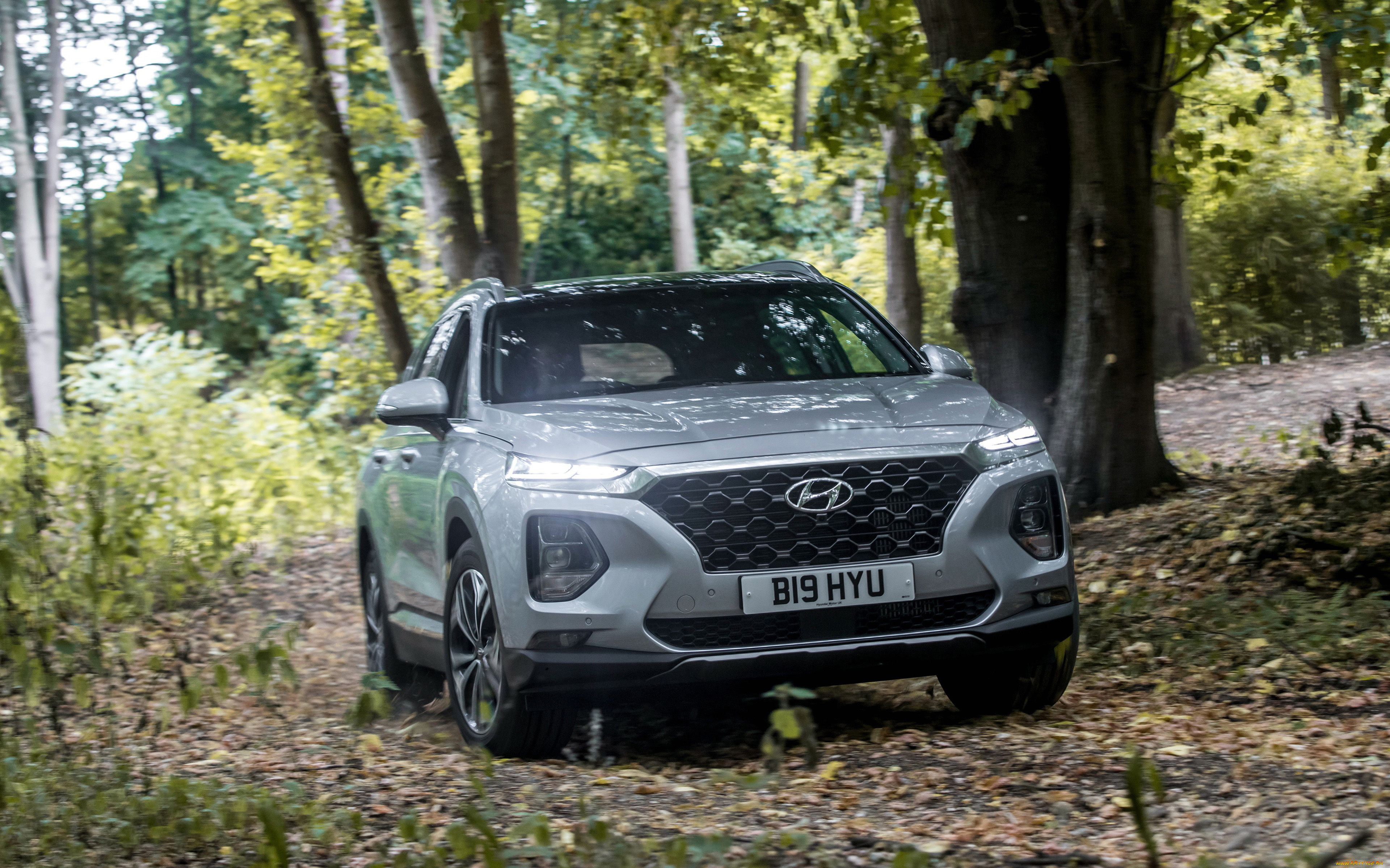 2019, hyundai, santa, fe, , uk, автомобили, hyundai, кроссовер, crossover, uk, santa, fe, 2019, корейские, лес, вид, спереди, белый