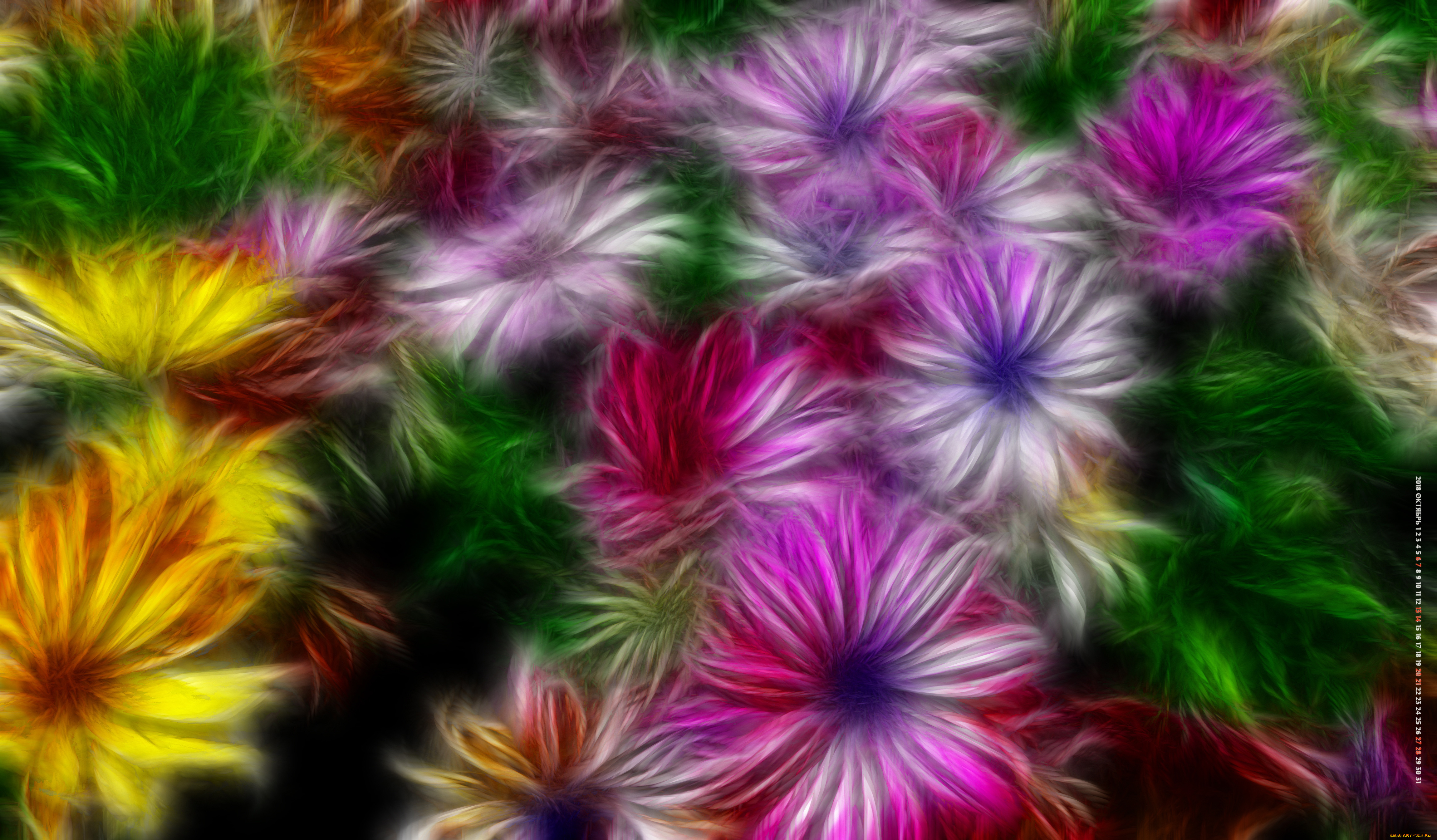 календари, компьютерный, дизайн, цветы