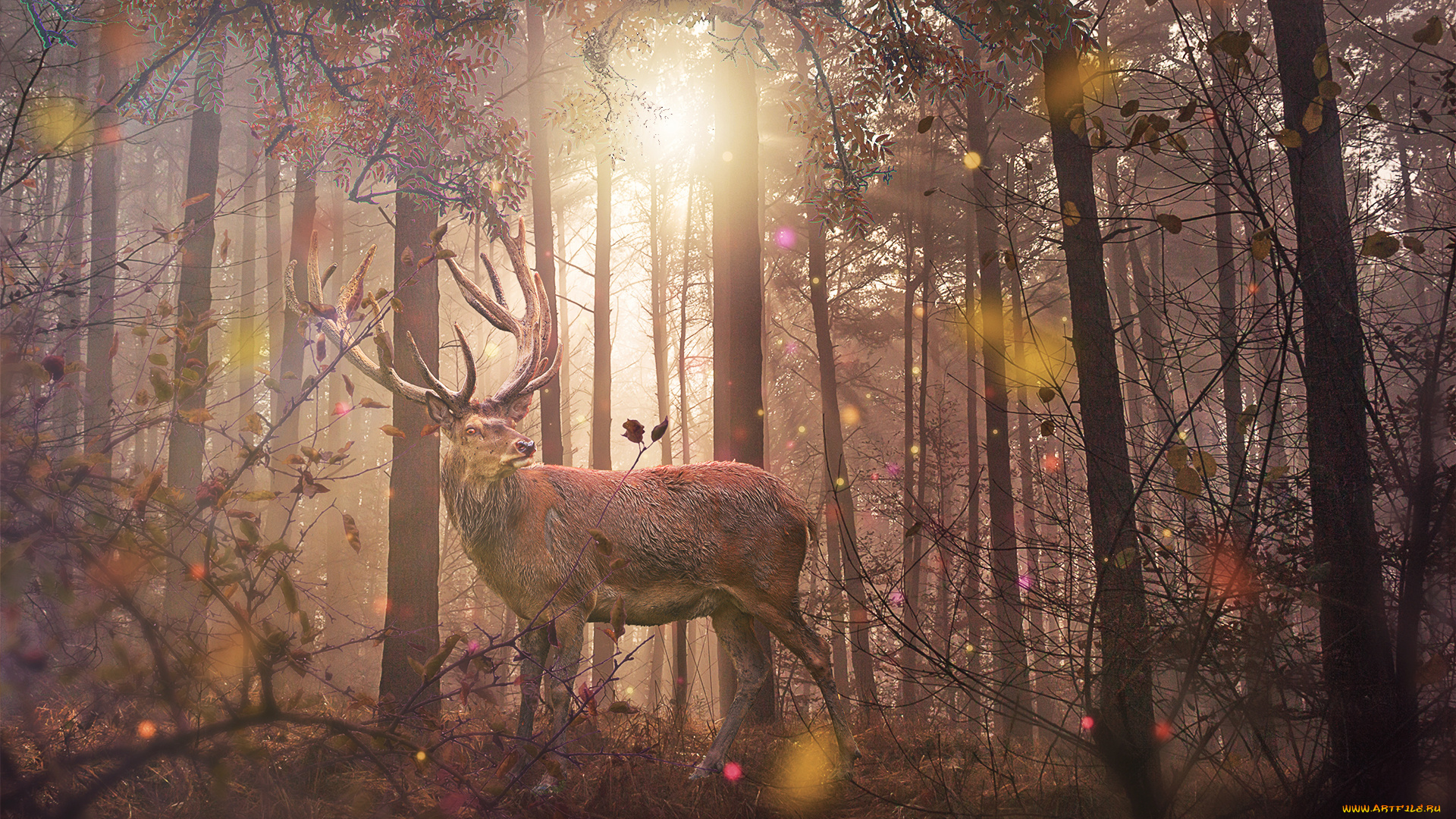 разное, компьютерный, дизайн, лес, олень, фон