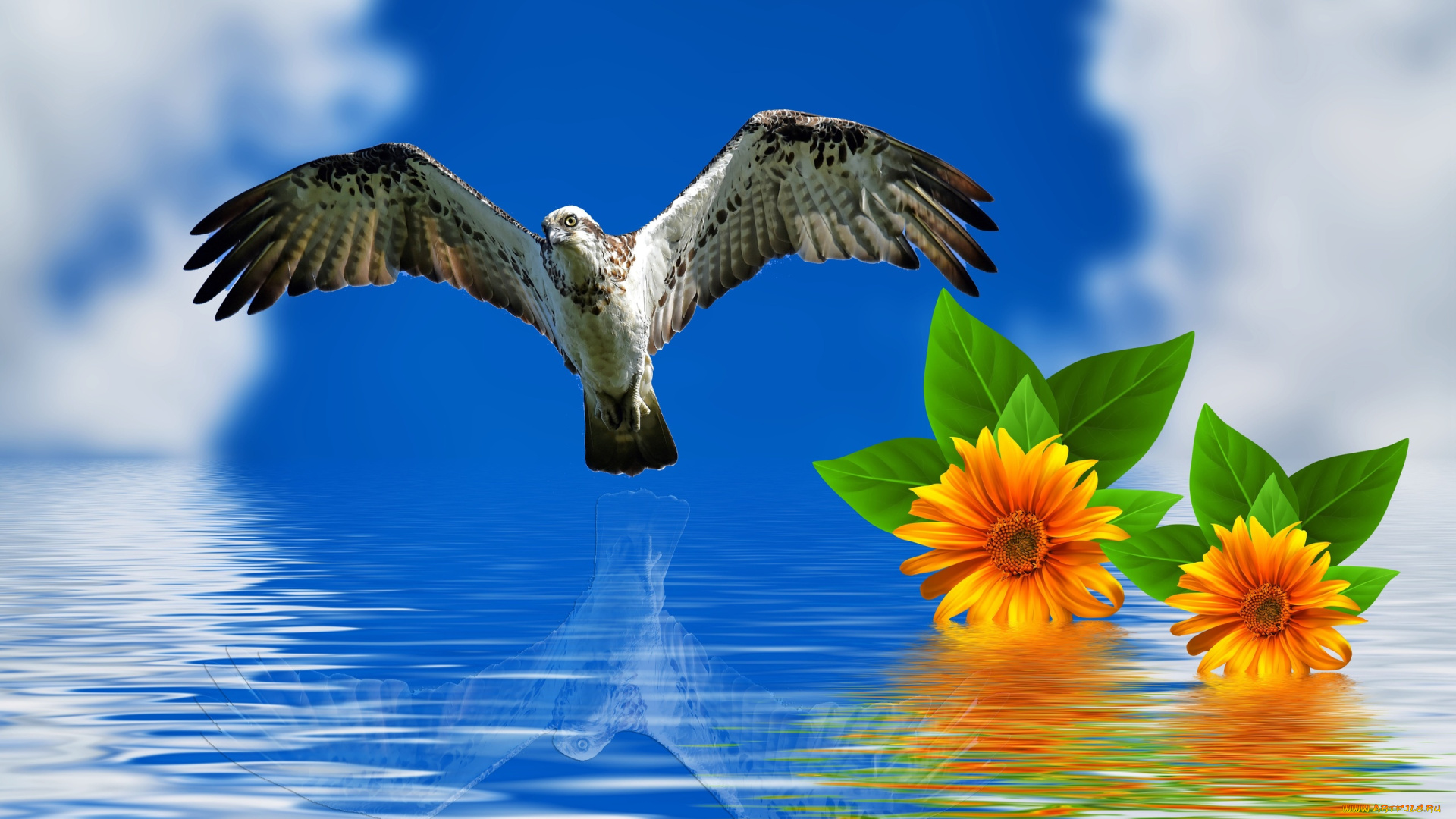 разное, компьютерный, дизайн, птица, полет