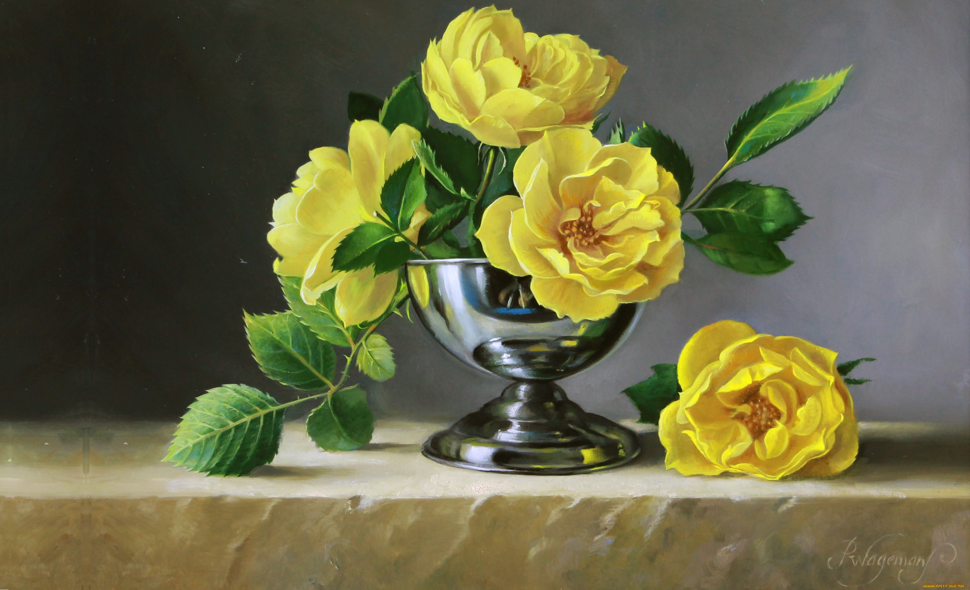 рисованное, pieter, wagemans, pieter, wagemans