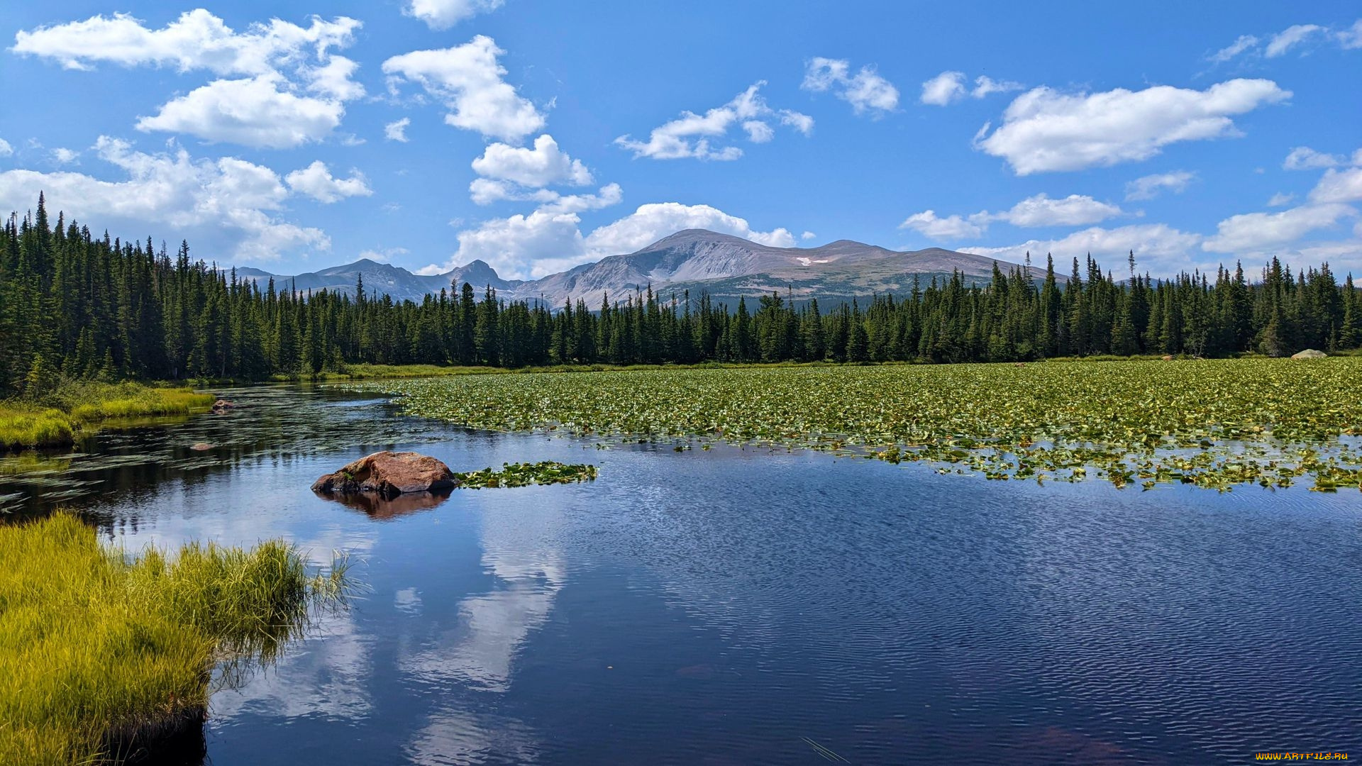 red, rock, lake, colorado, природа, реки, озера, red, rock, lake
