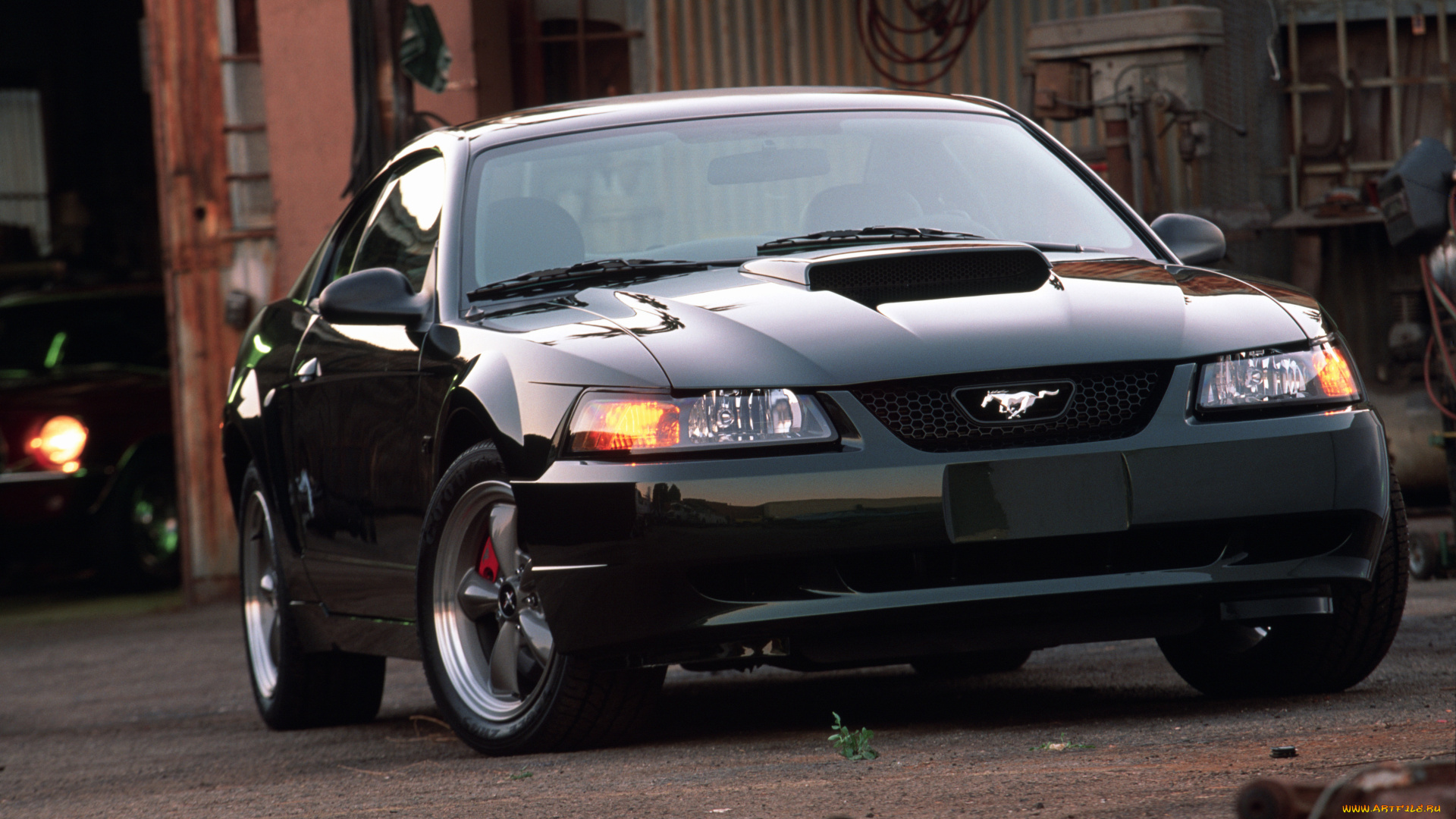 автомобили, mustang