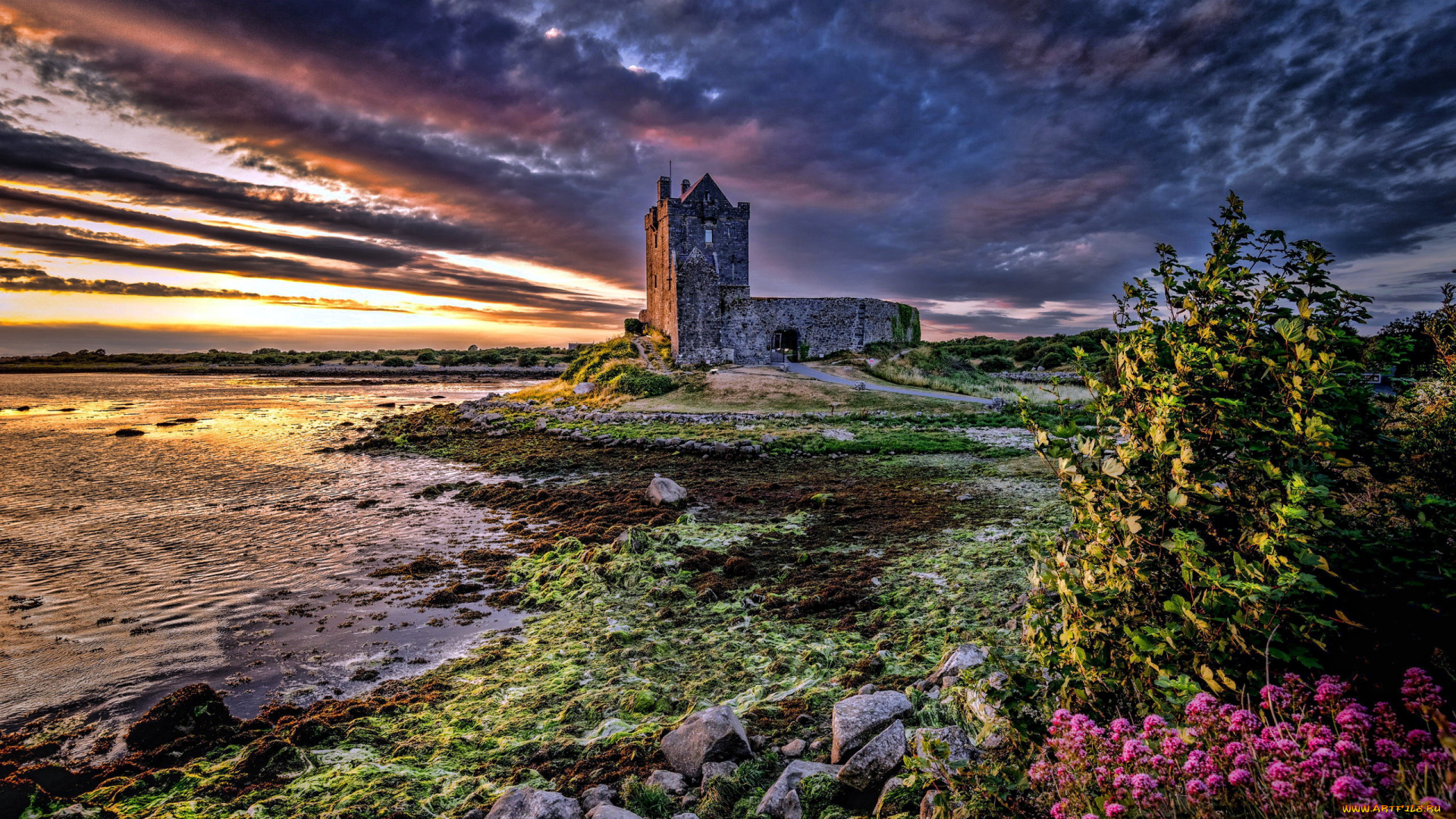 dunguaire, castle, galway, ireland, города, замок, дангвайр, , ирландия, dunguaire, castle