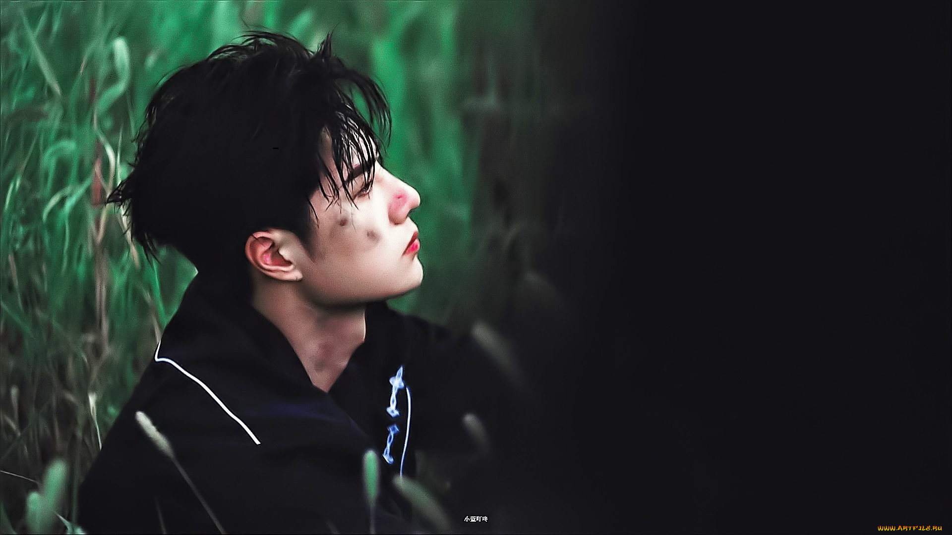 мужчины, wang, yi, bo, актер, лицо, трава