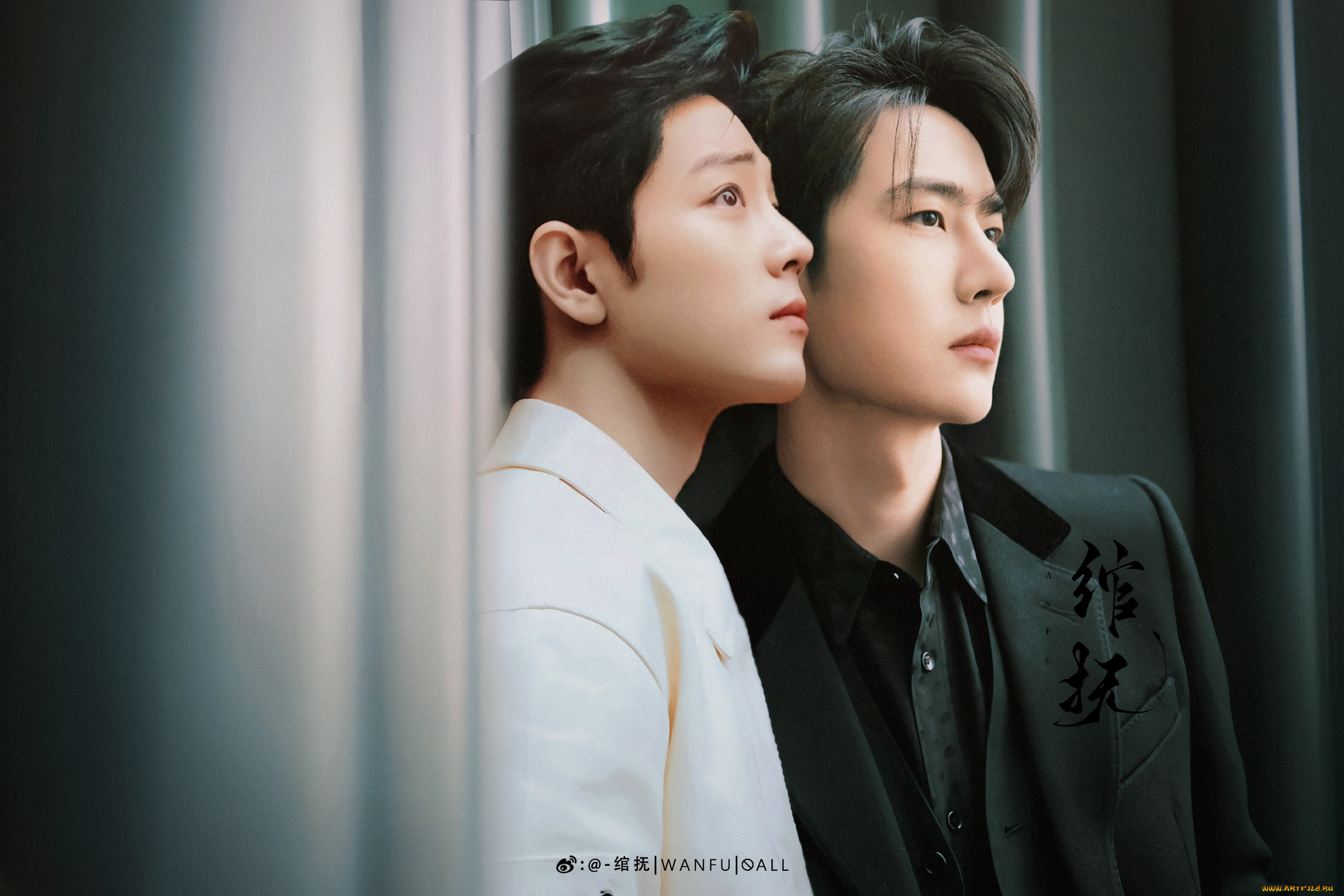 разное, знаменитости, ван, ибо, сяо, чжань