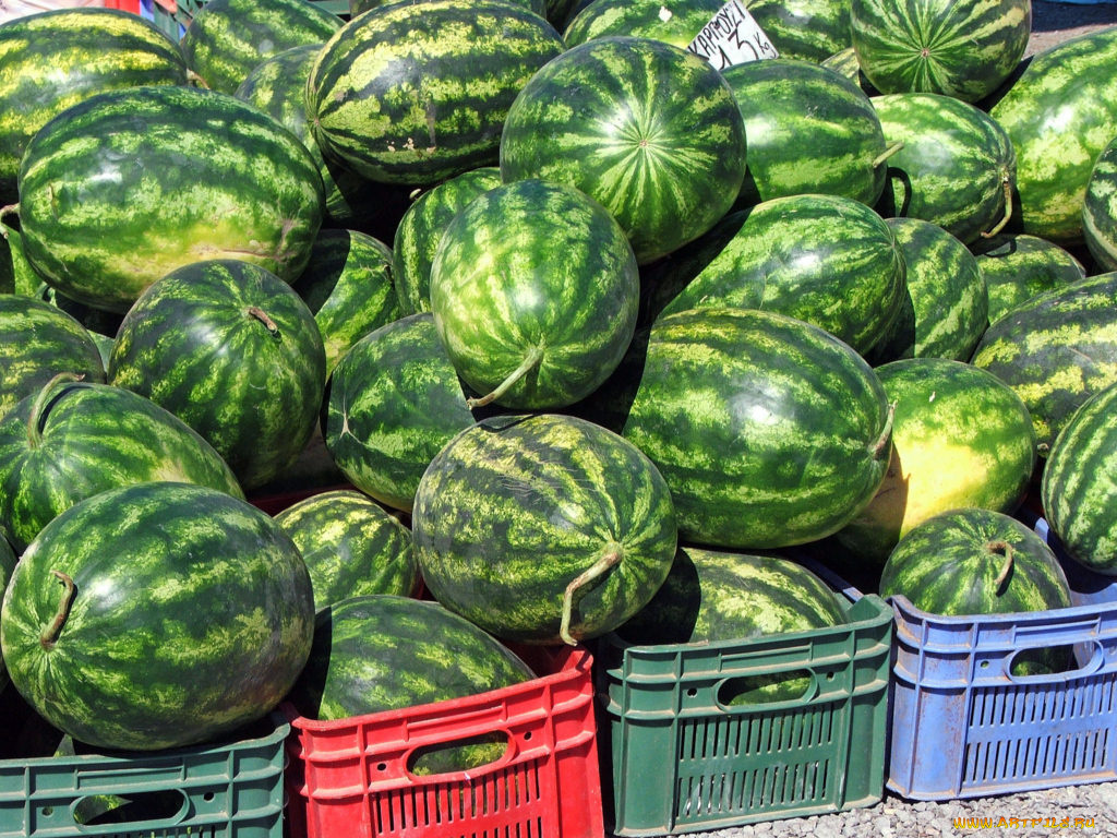 еда, арбуз