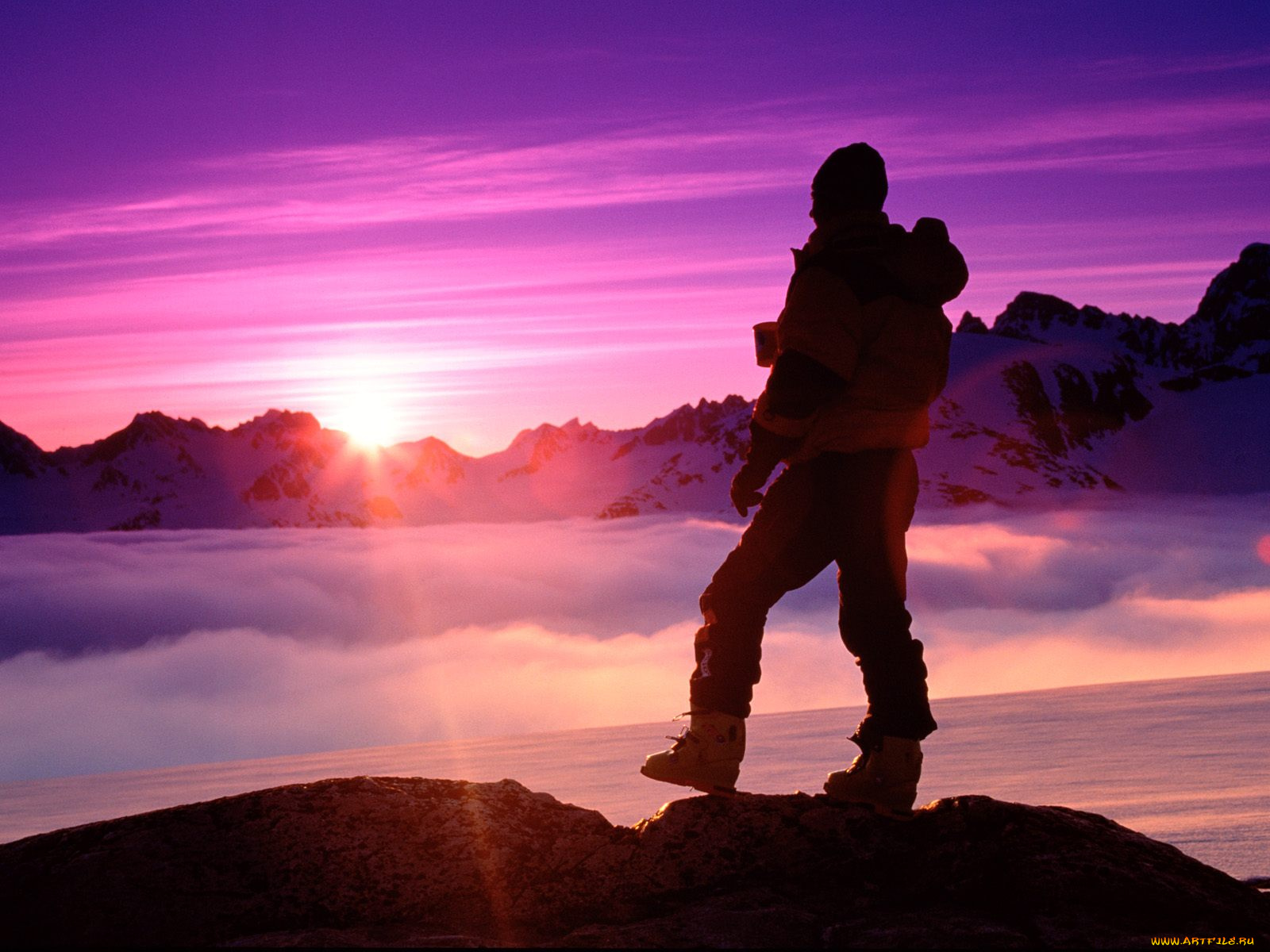 спорт, другое