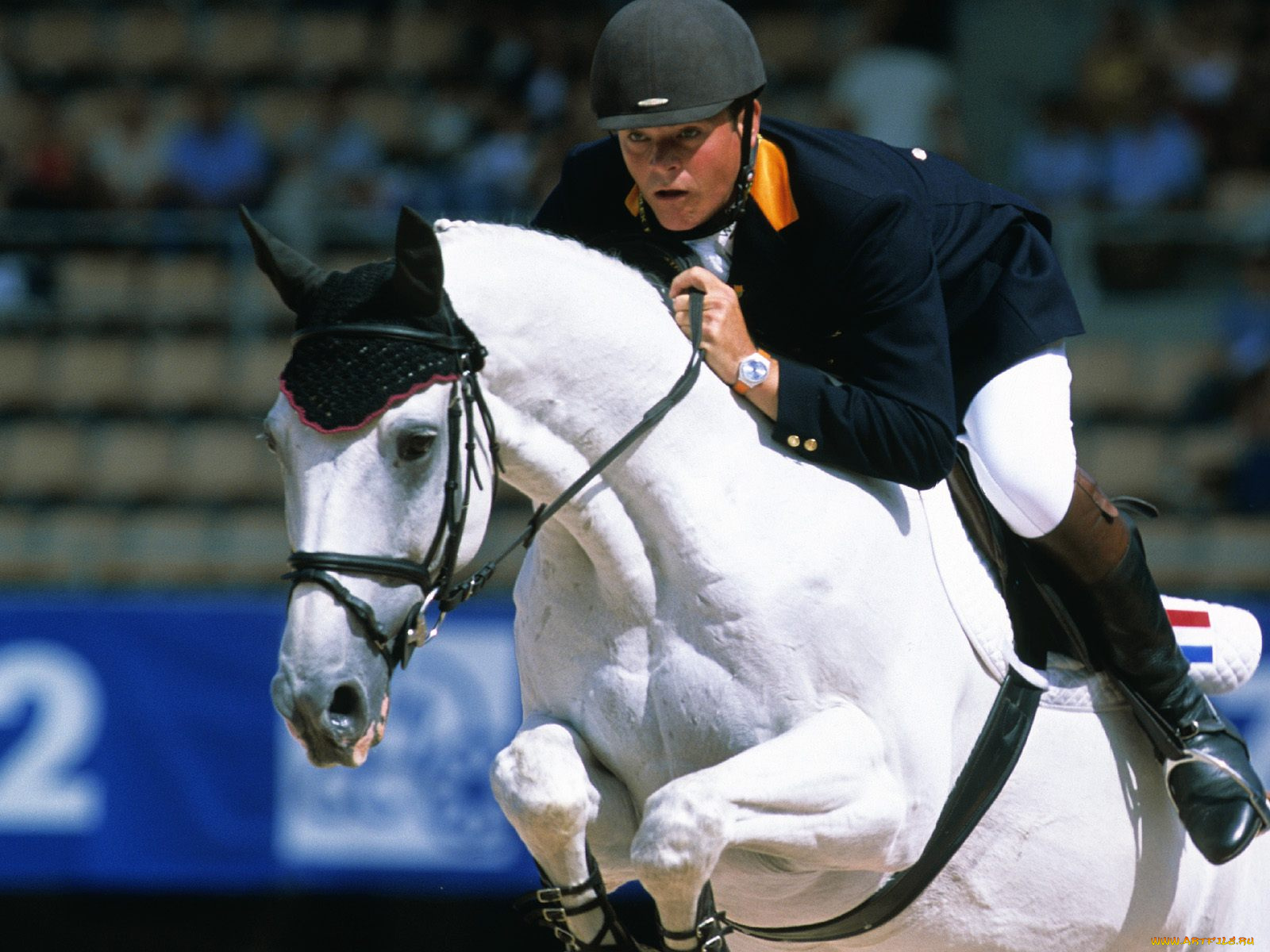 спорт, конный