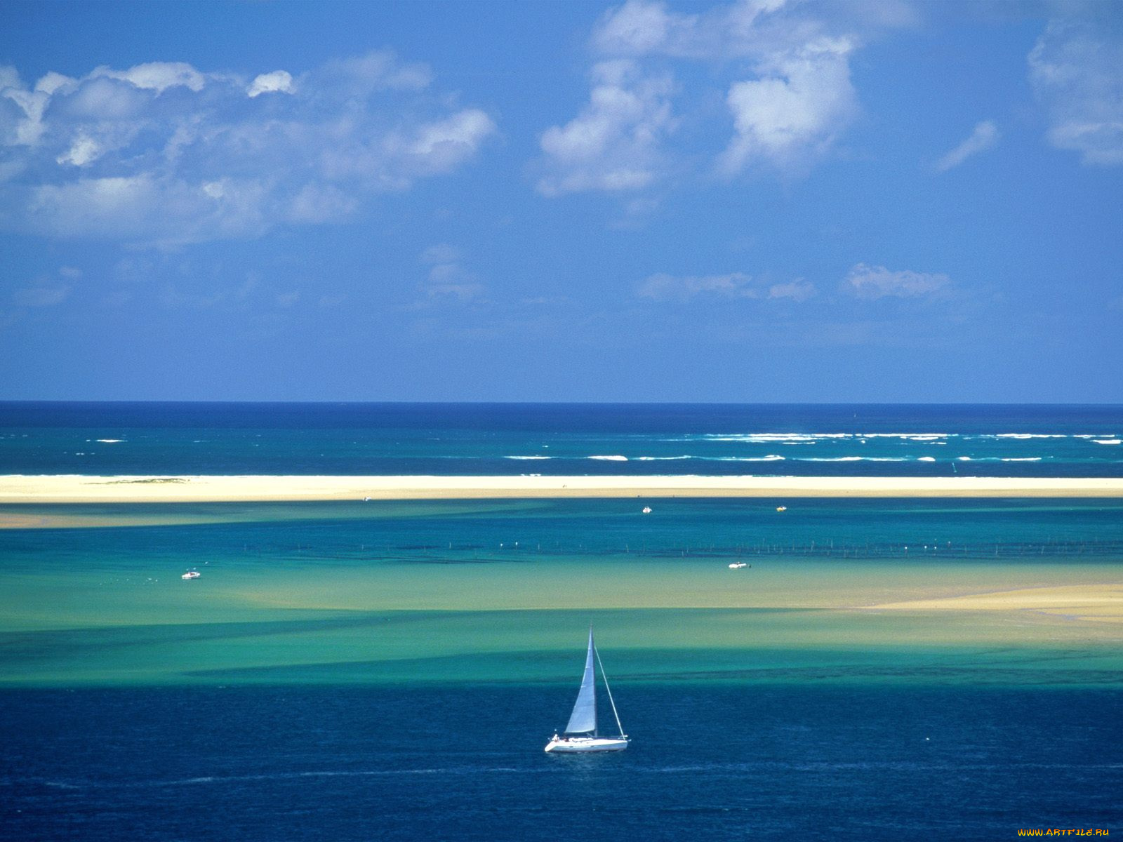 спорт, водный