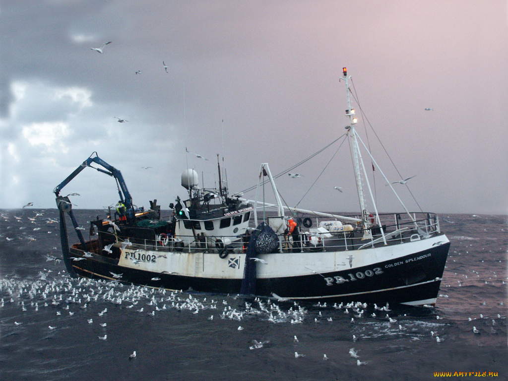 корабли, другое