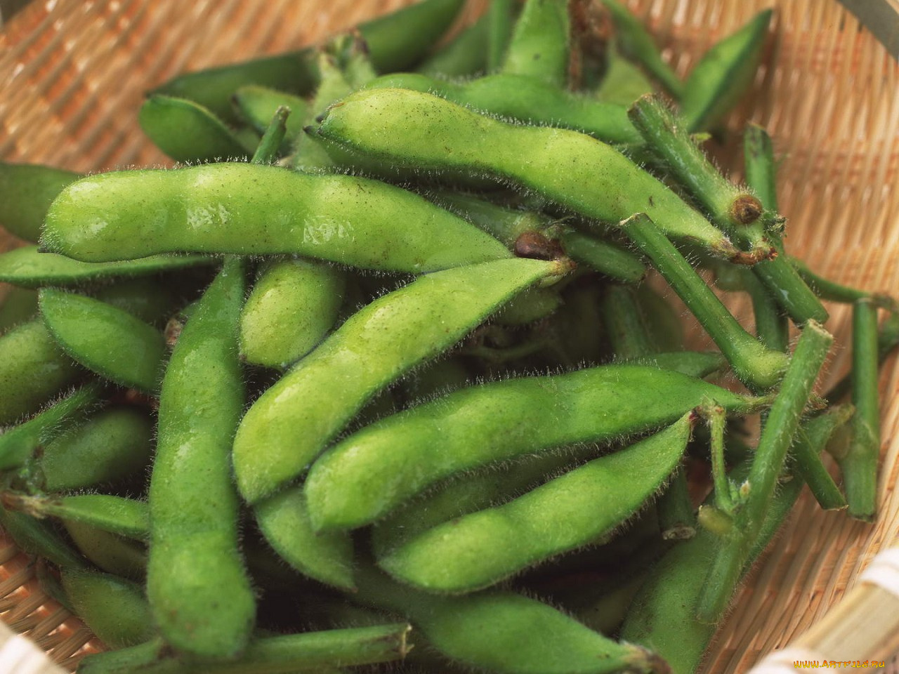 еда, бобовые