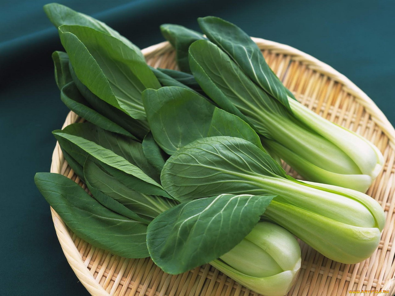 еда, капуста, её, разновидности