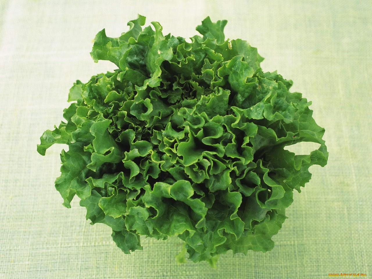 еда, разное