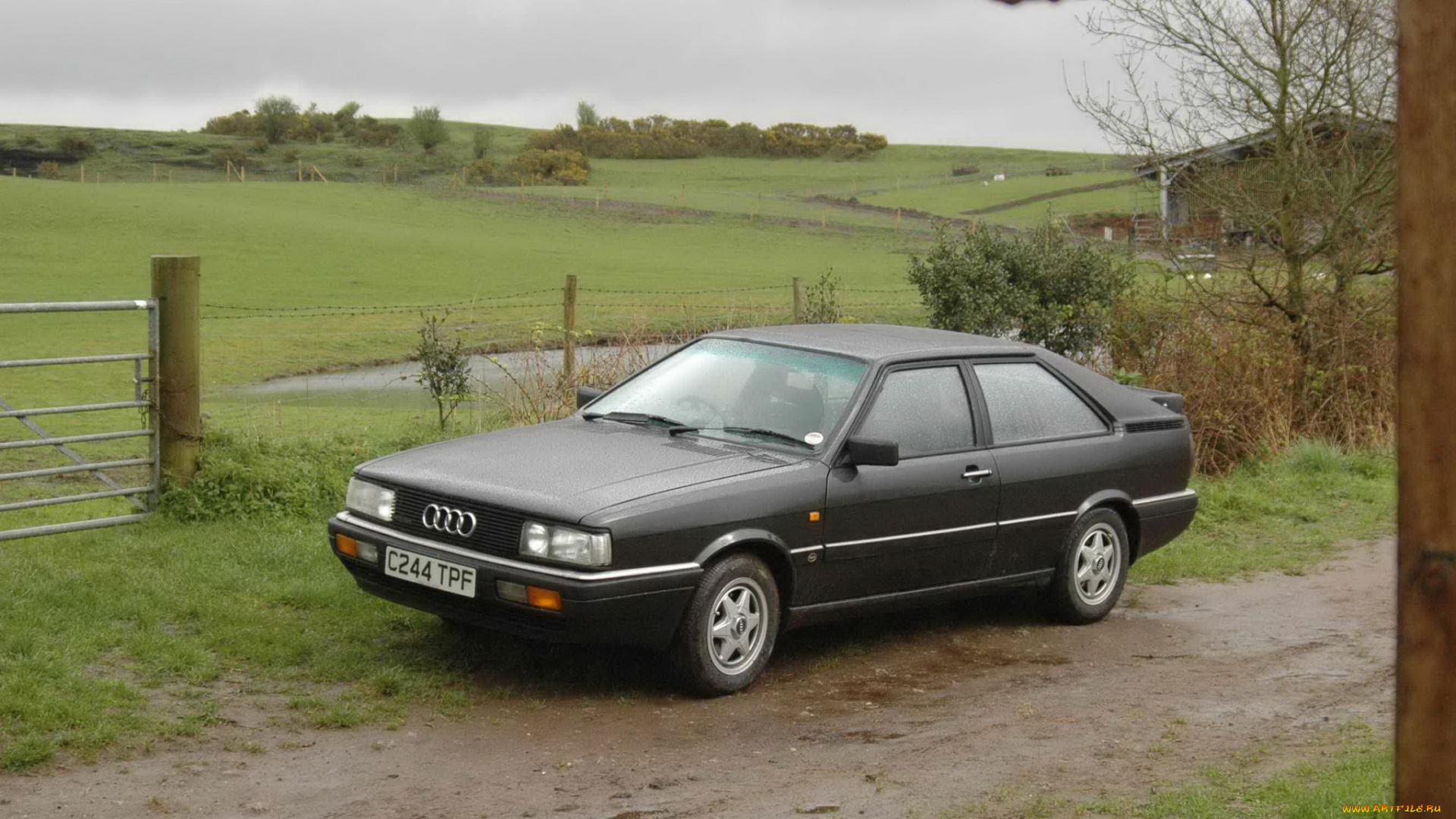 автомобили, audi