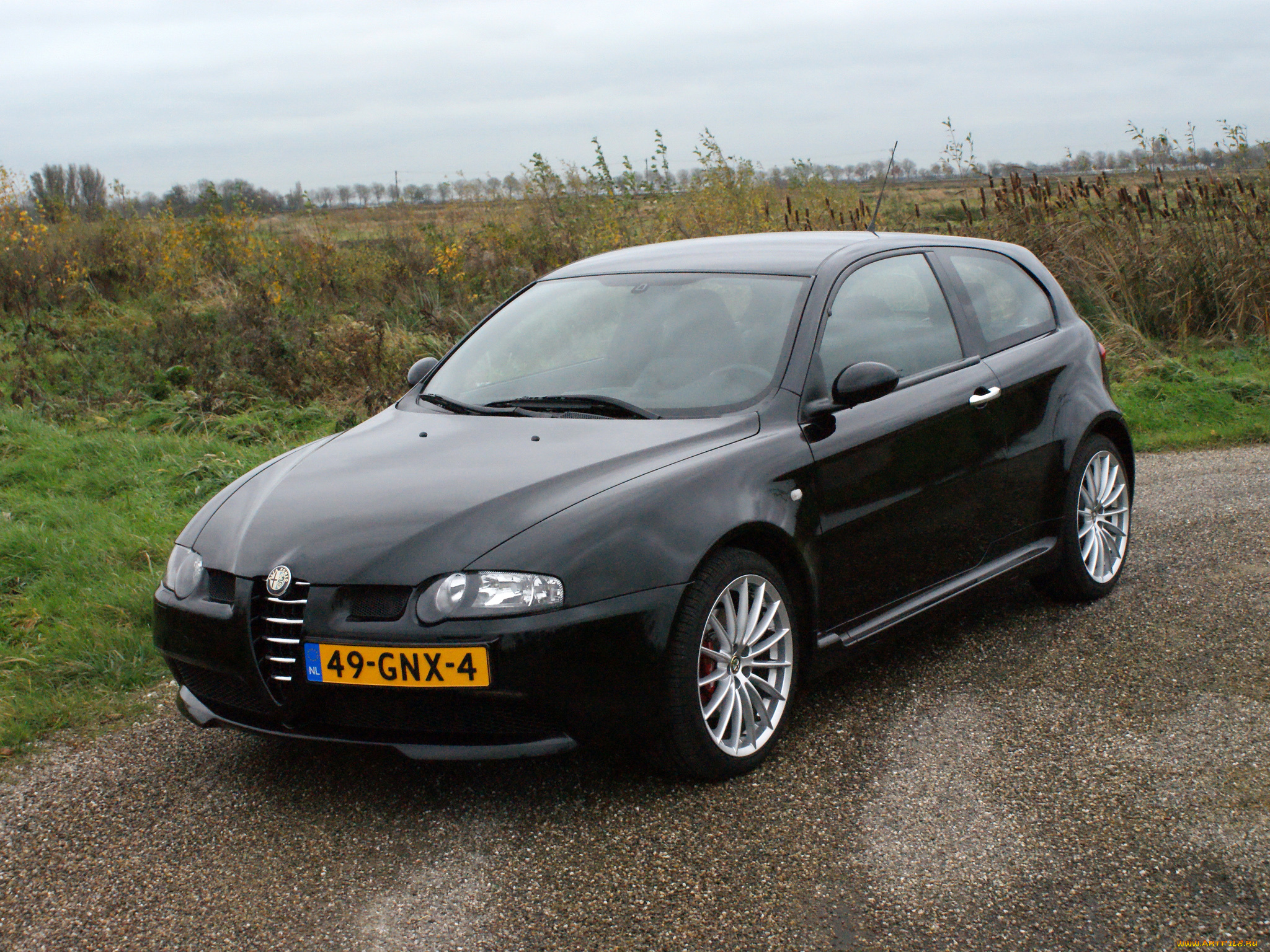 автомобили, alfa, romeo