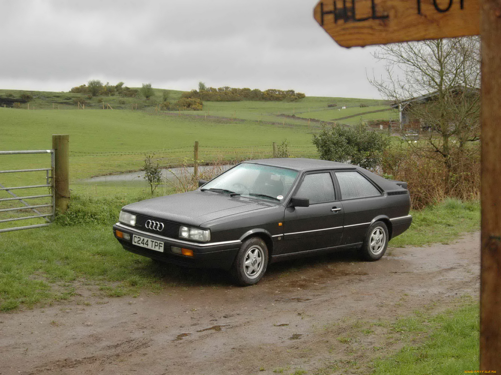 автомобили, audi