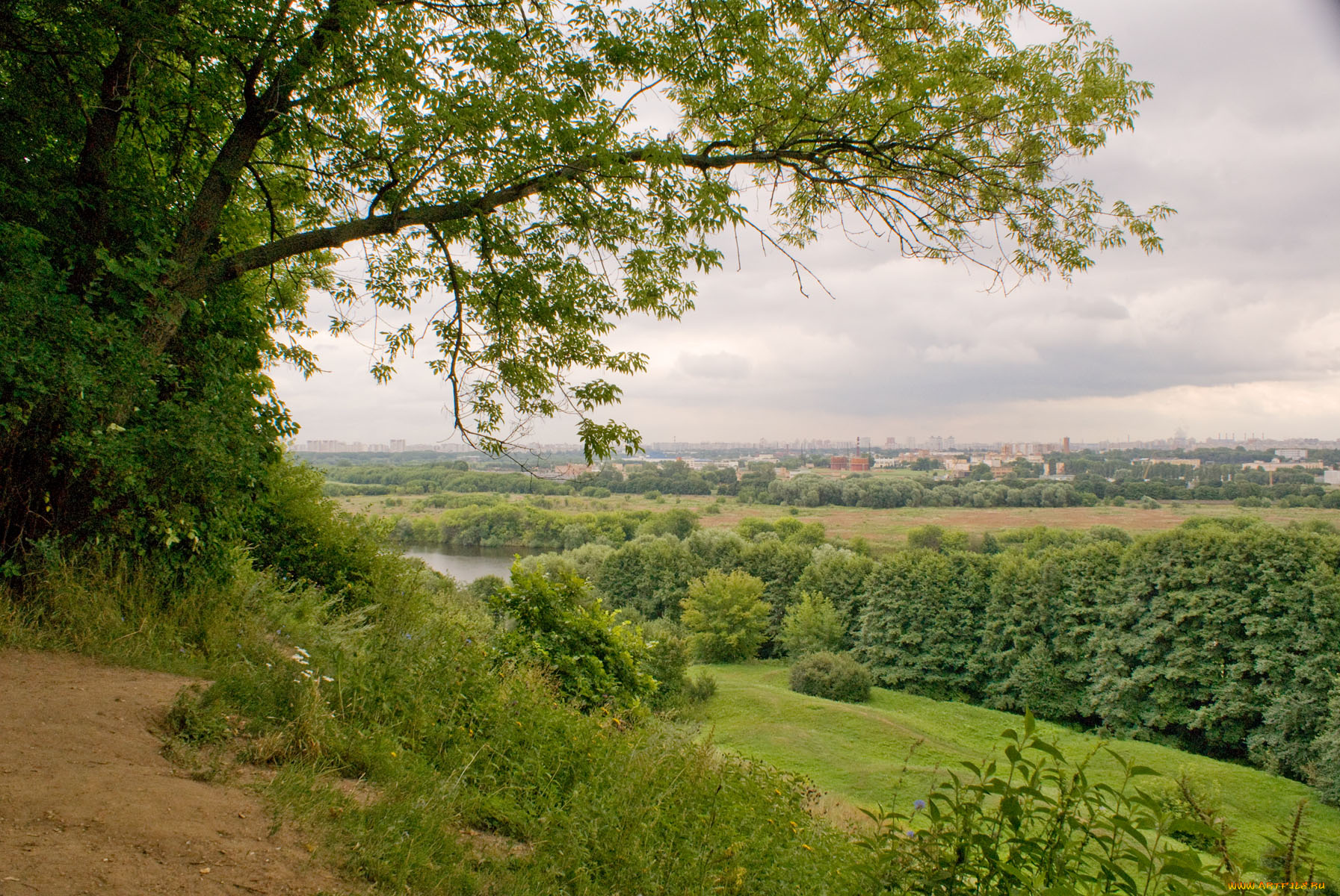 природа, пейзажи, деревья, облака, трава