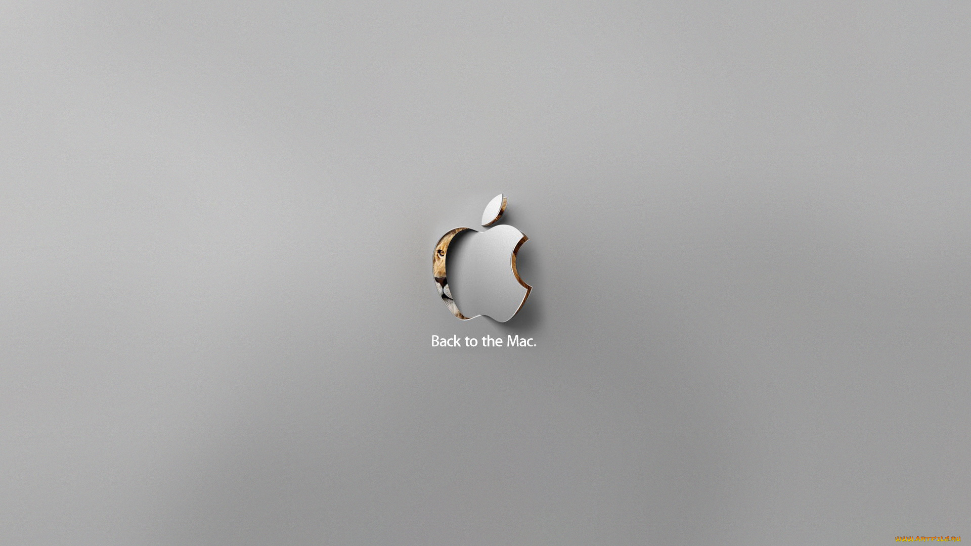 компьютеры, apple, яблоко, лев, серый, логотип